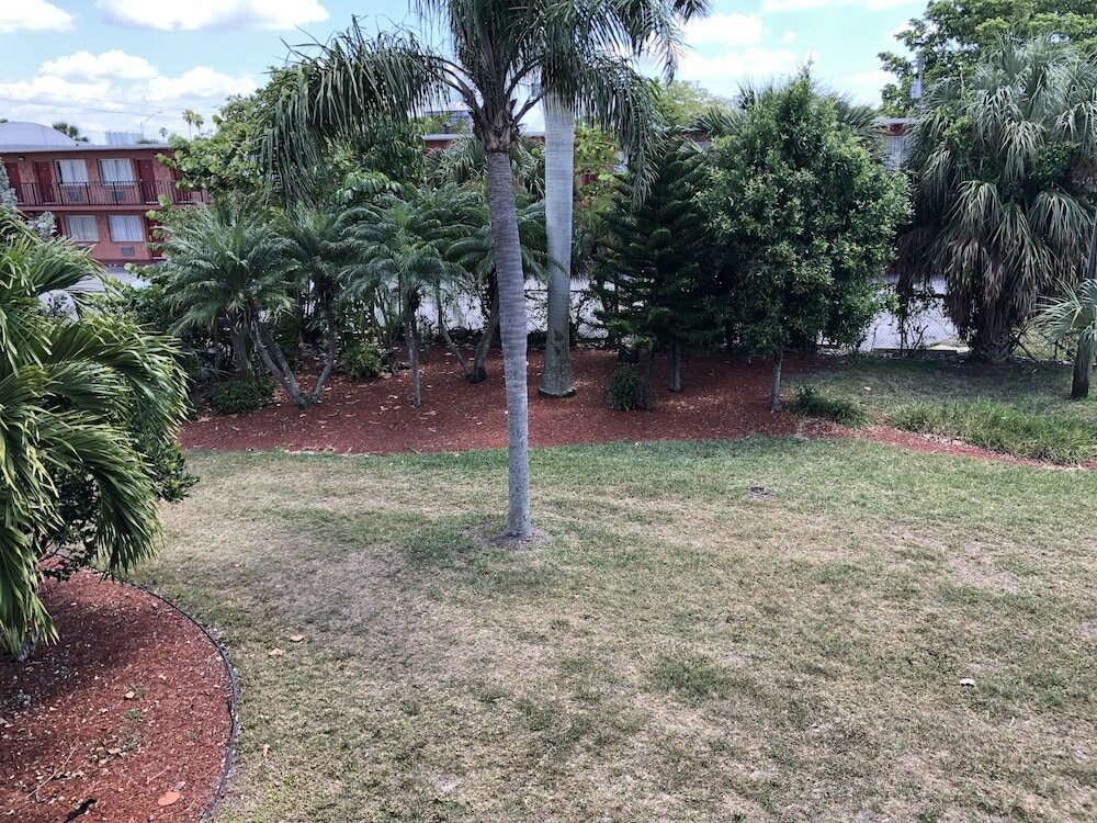 Фото Travelodge by Wyndham Fort Myers North