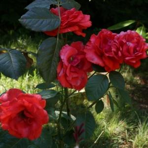 Фото Гостевой дом K&t