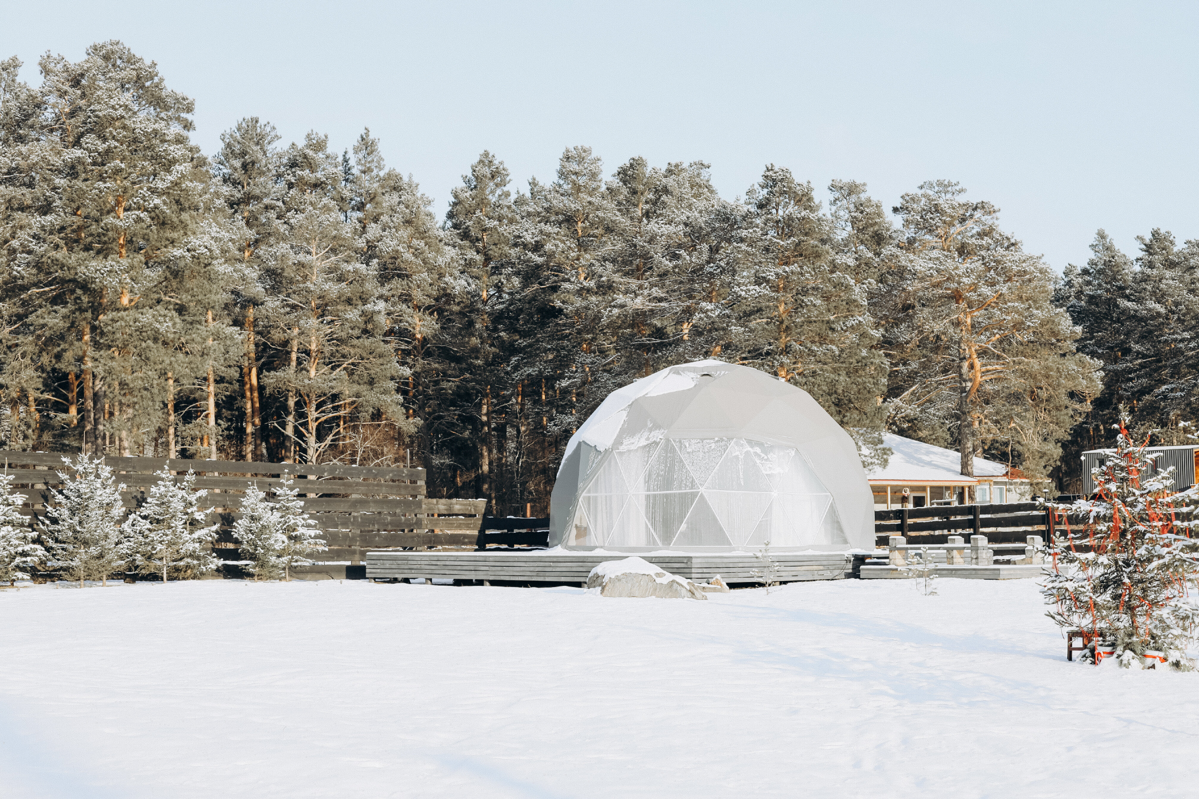 Фото Альпака