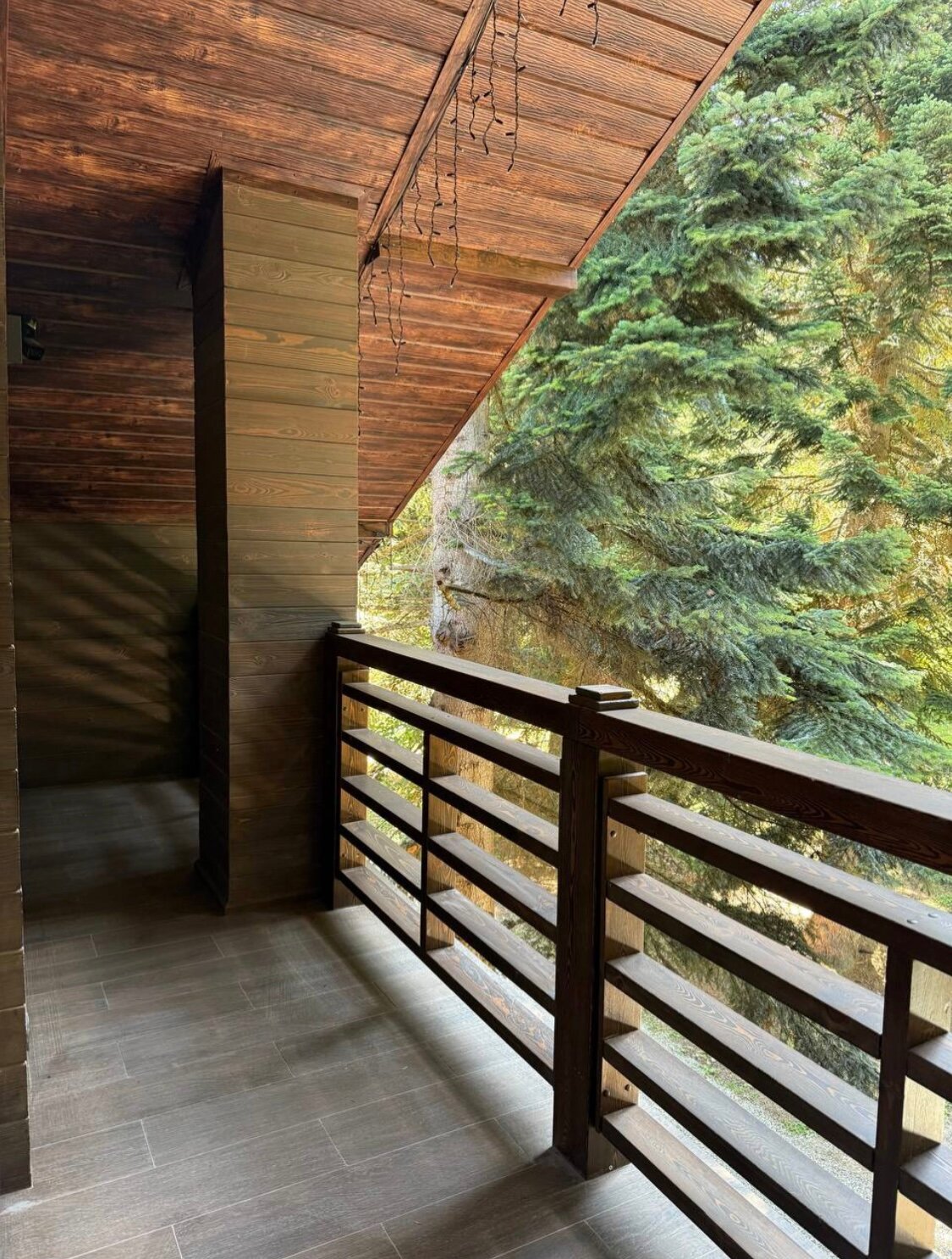 Фото Chalet Monte