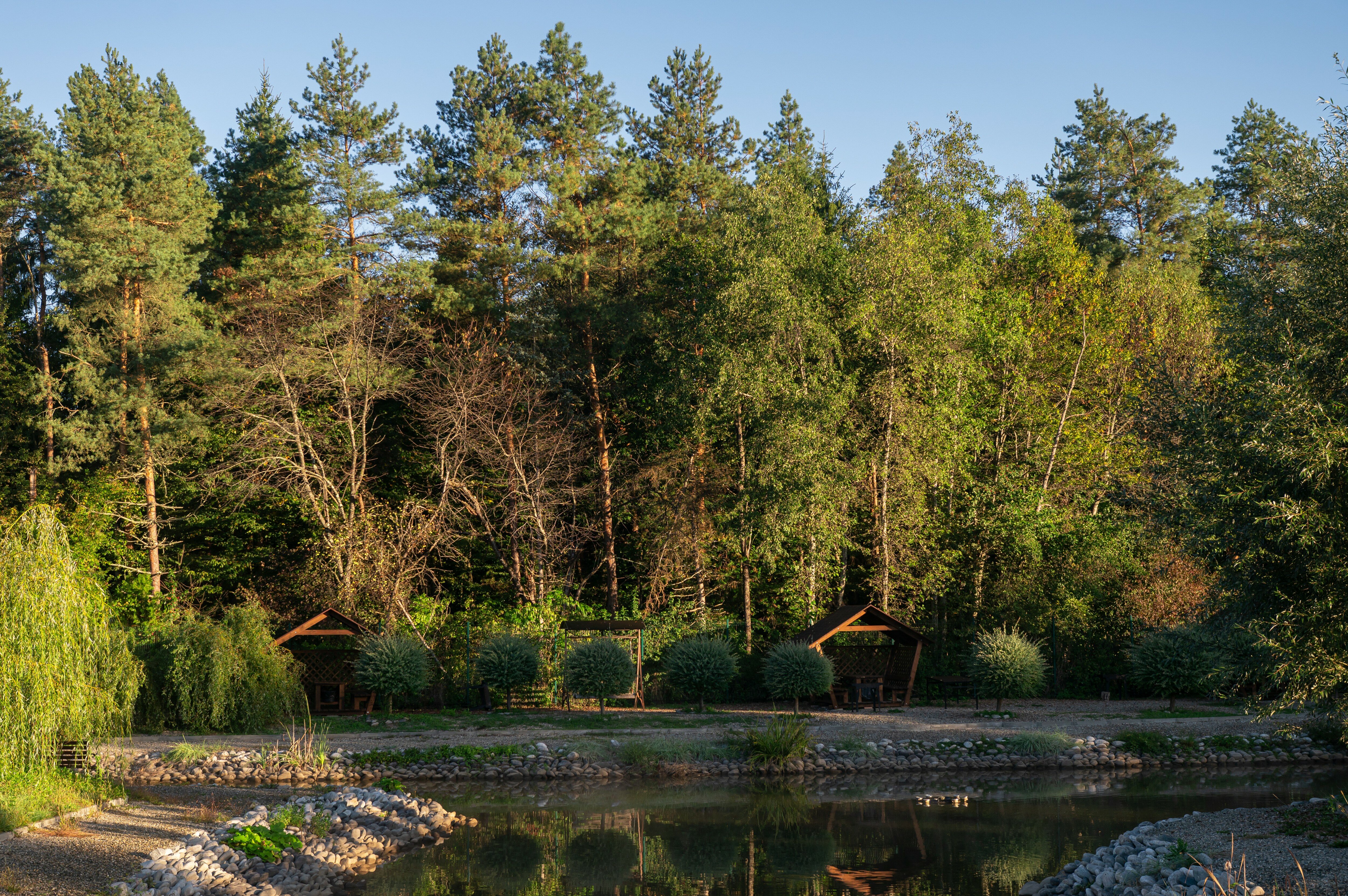 Фото Павлова поляна
