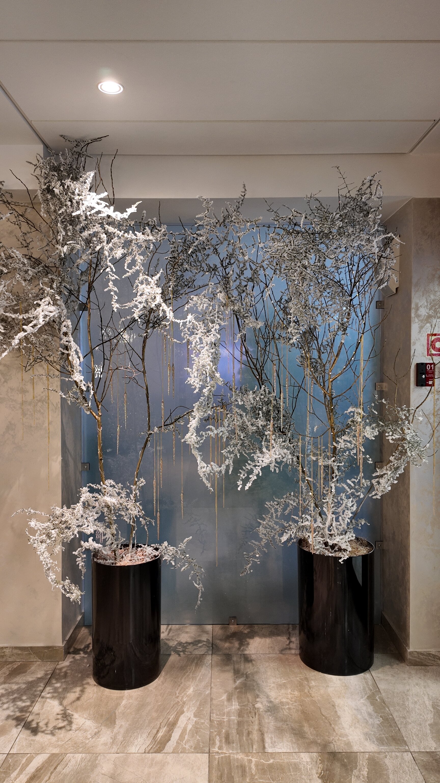 Фото Костас