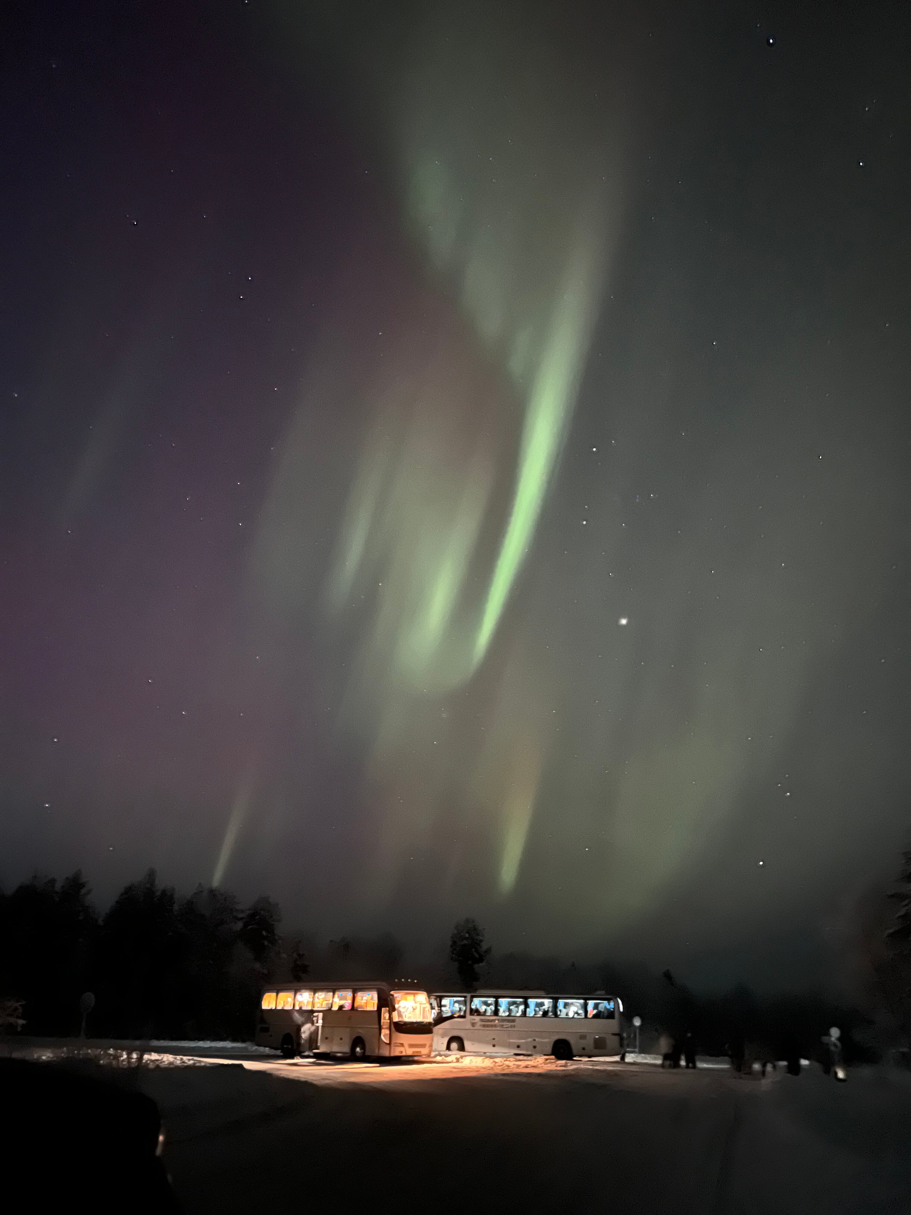 Фото Арктик Серф