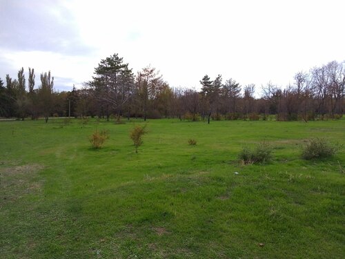 Supermarket Alfa Midi, Papua, photo