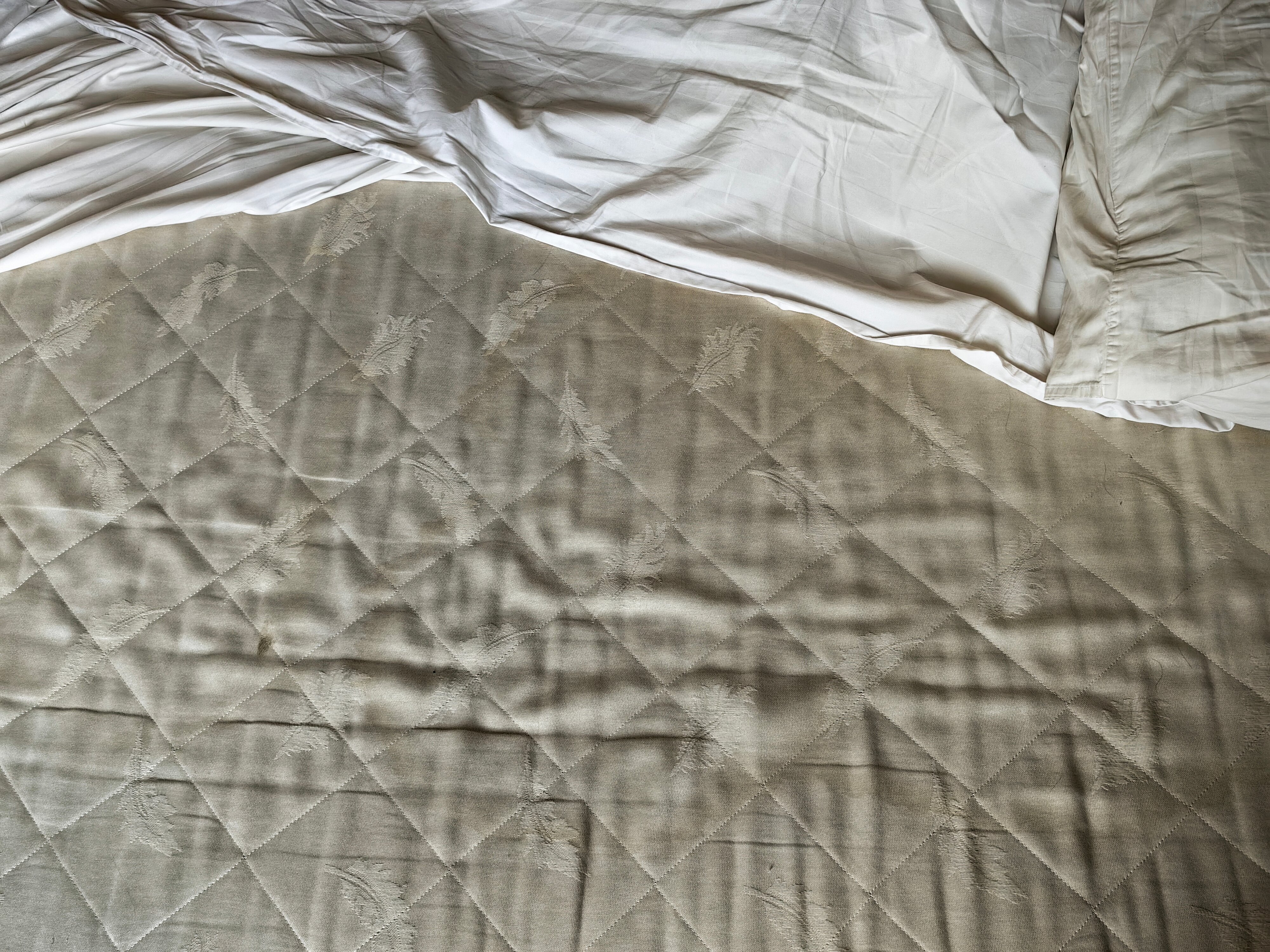 Фото Айсберг