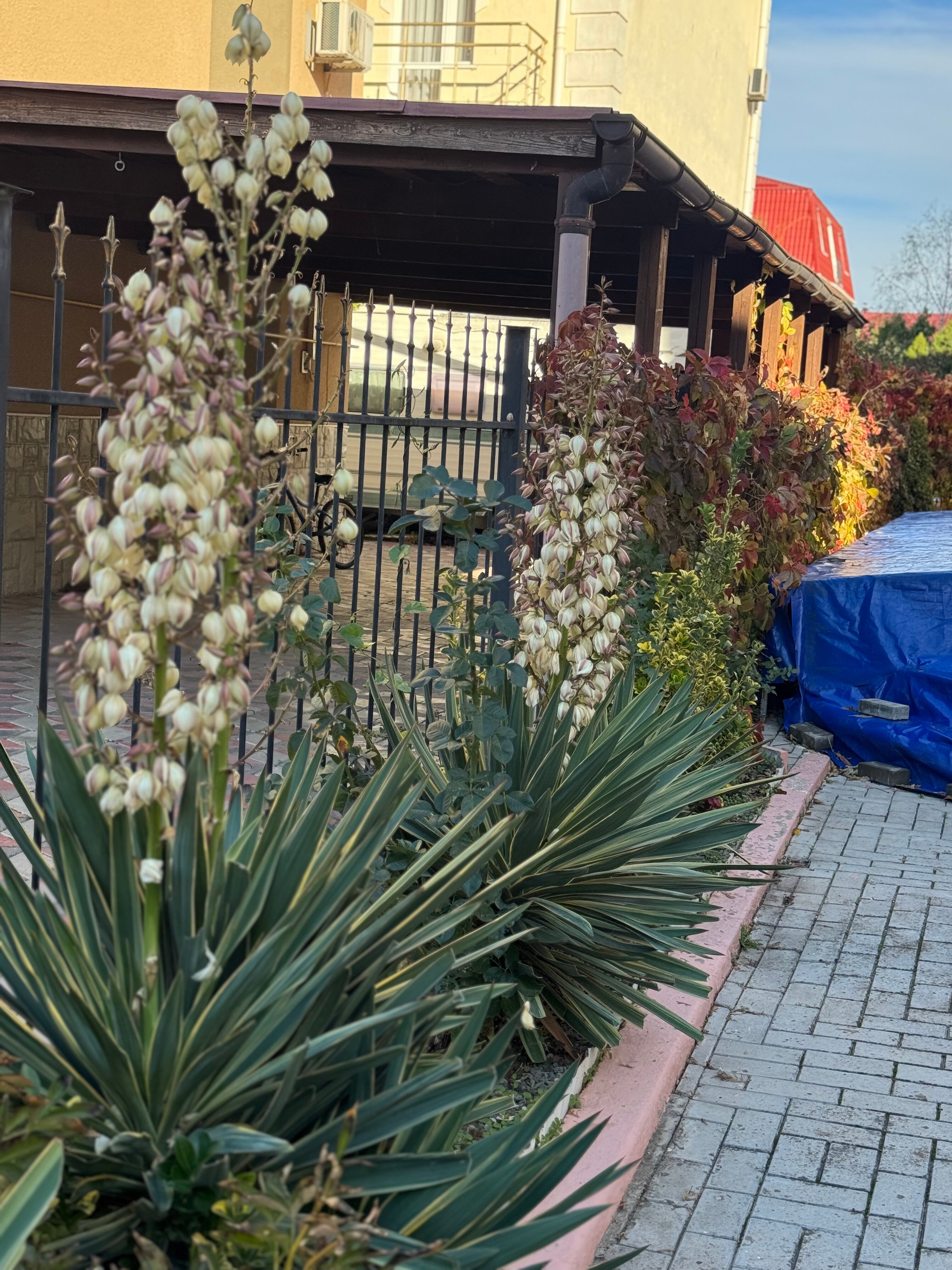 Фото Эклипс