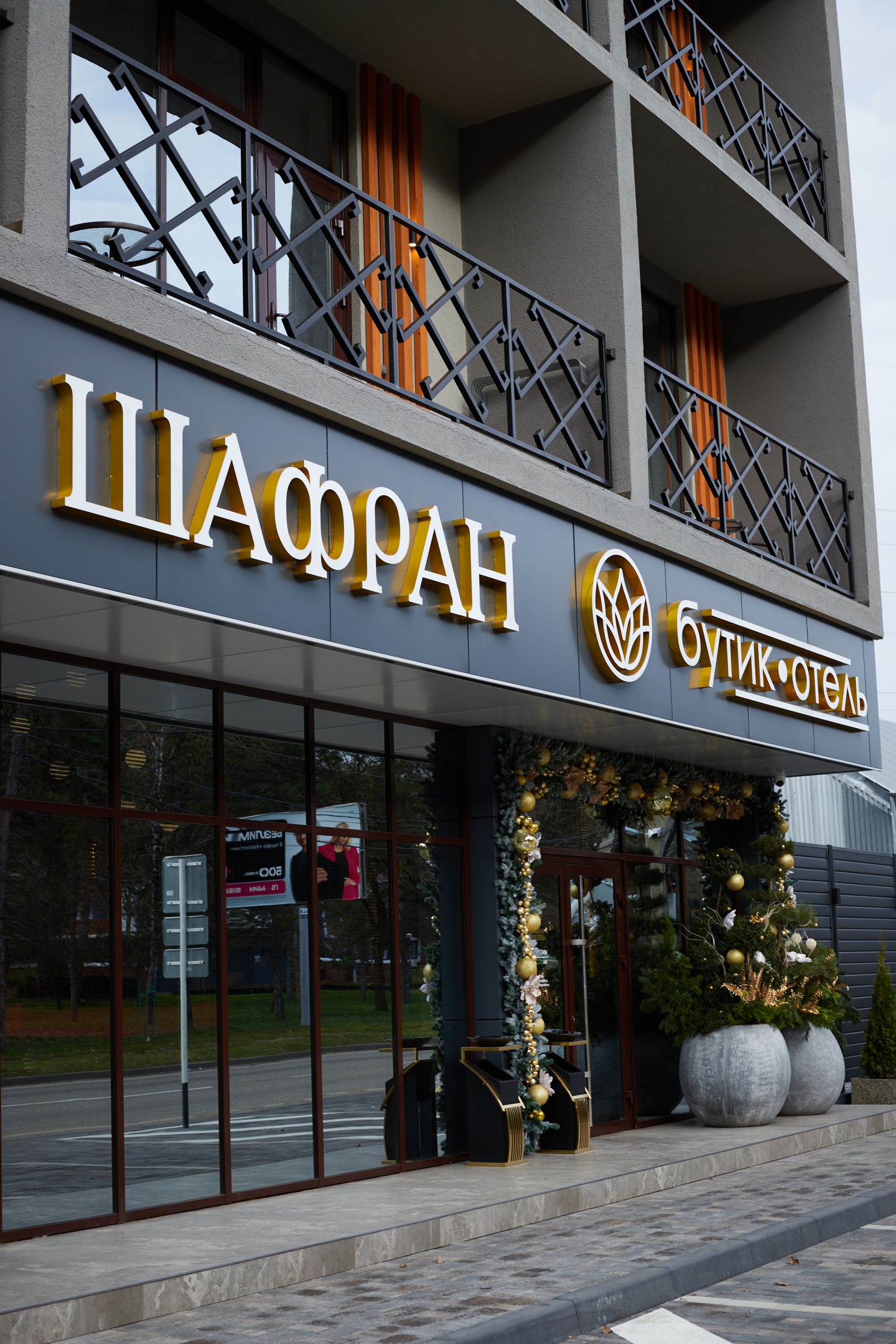 Фото Шафран