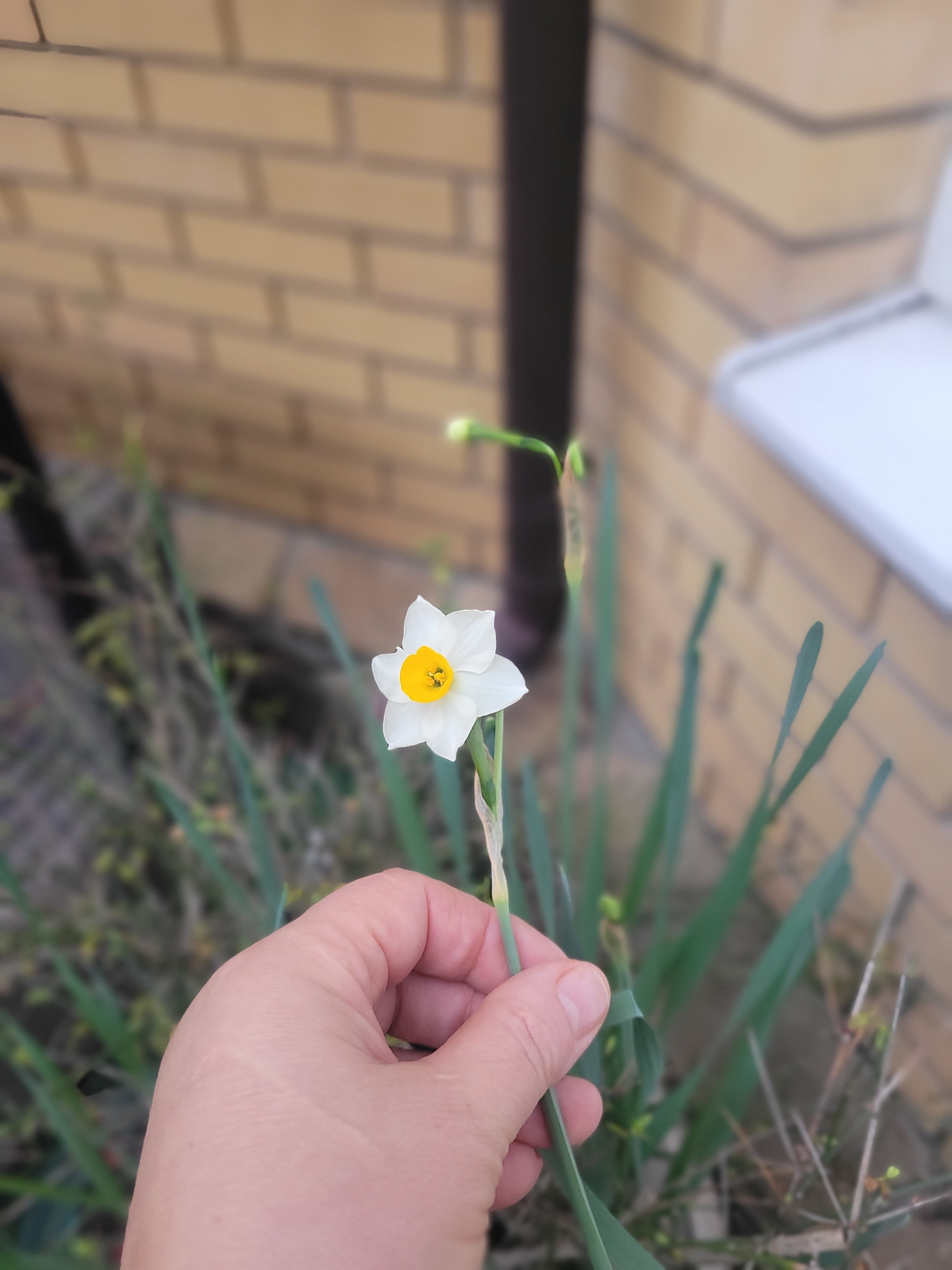 Фото Абажур