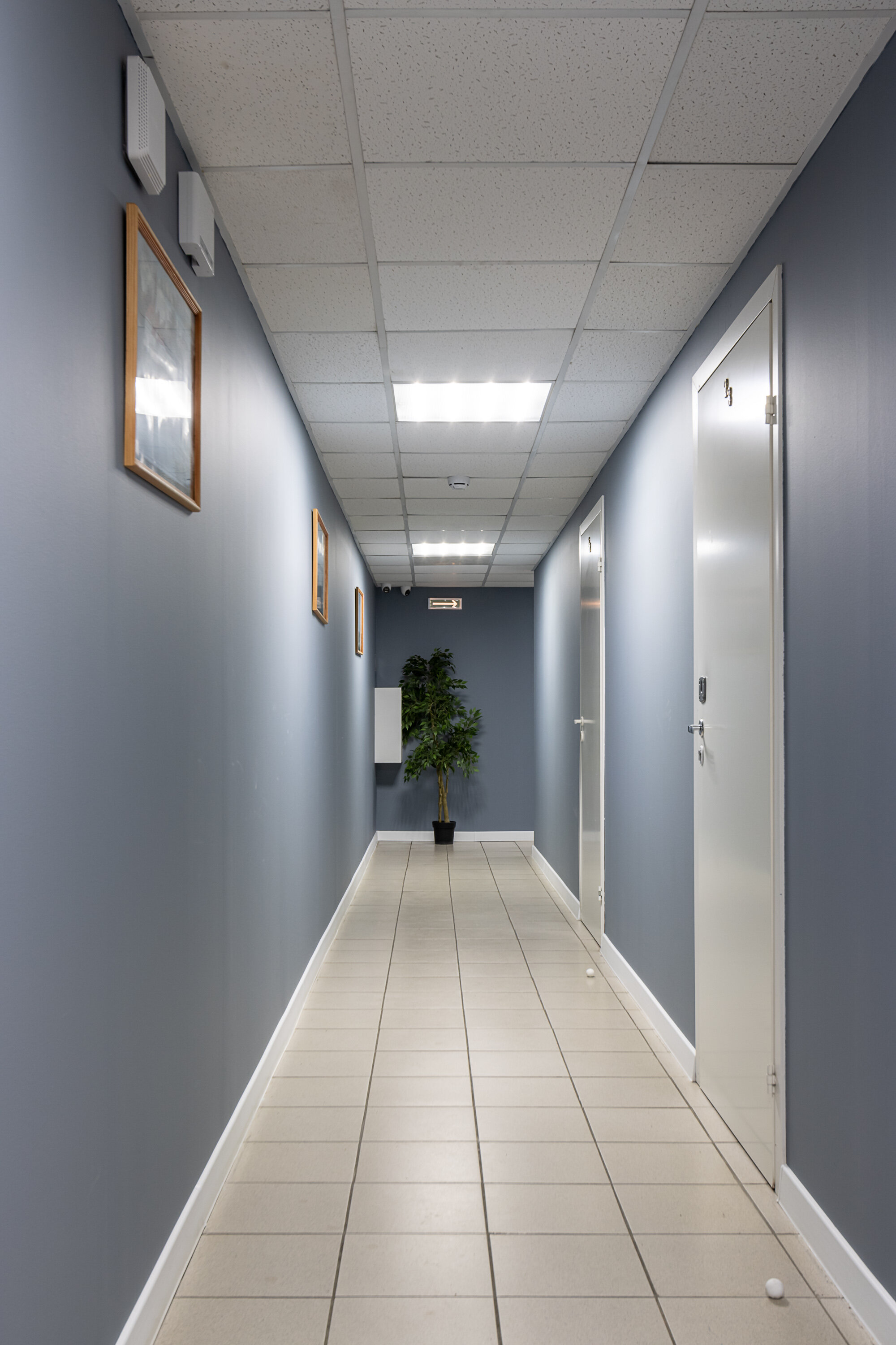 Фото Номера в Гатчине