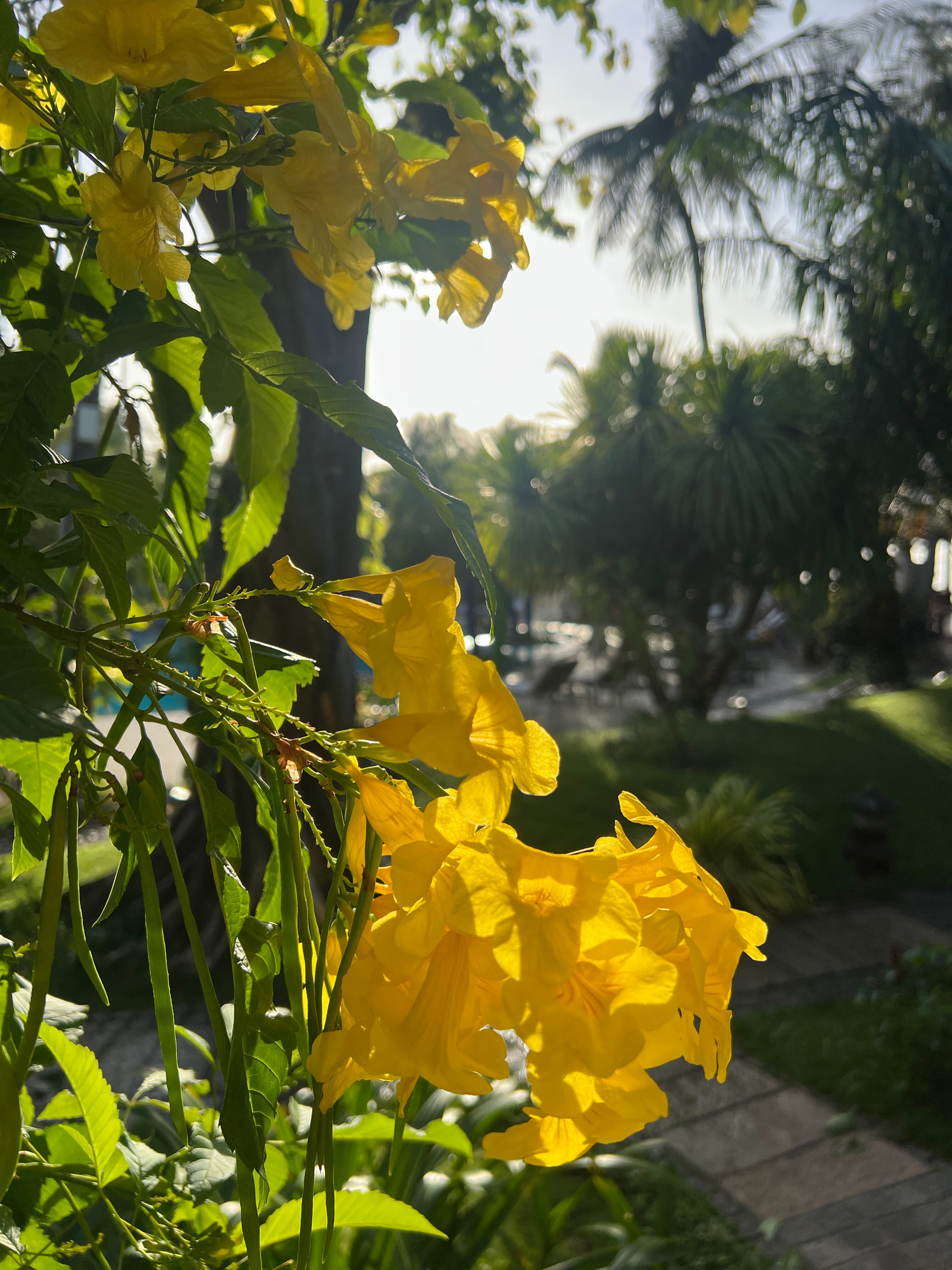 Фото Hoang Ngoc Beach Resort