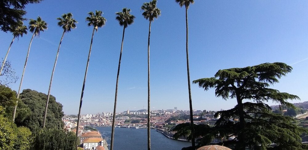 Фото Premium Porto Downtown