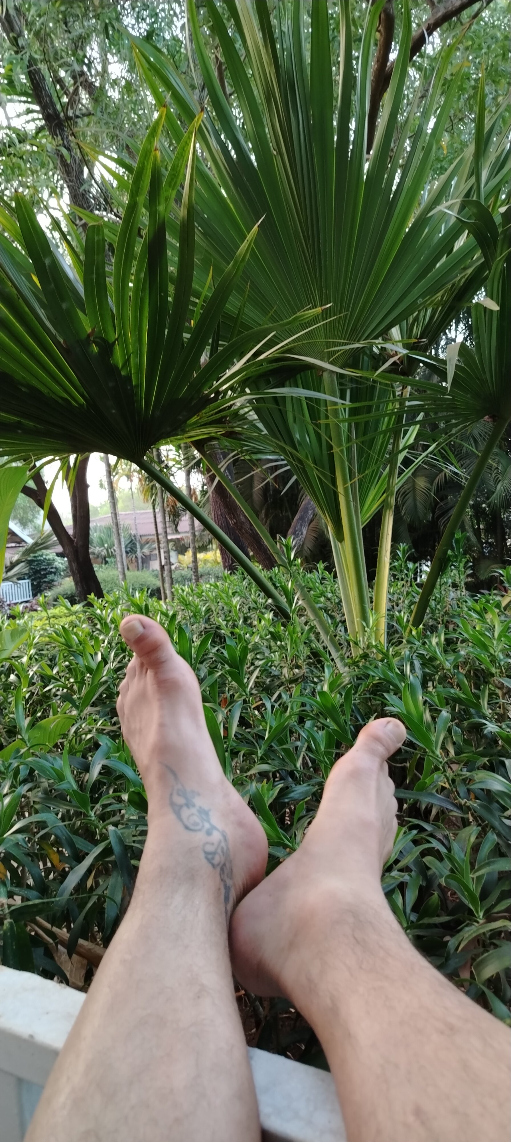 Фото White Woods Resort and Spa