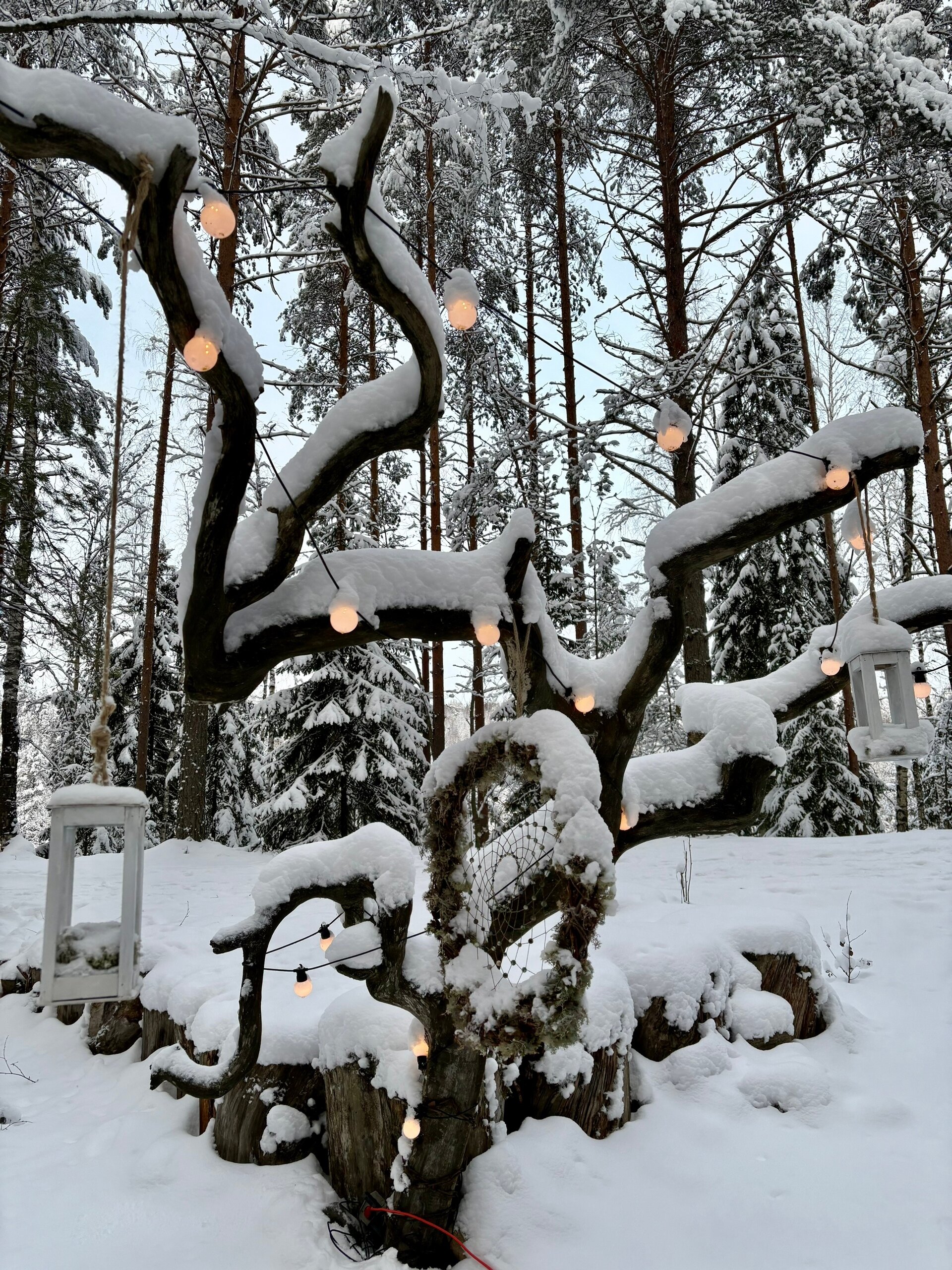 Фото Карьяла Парк