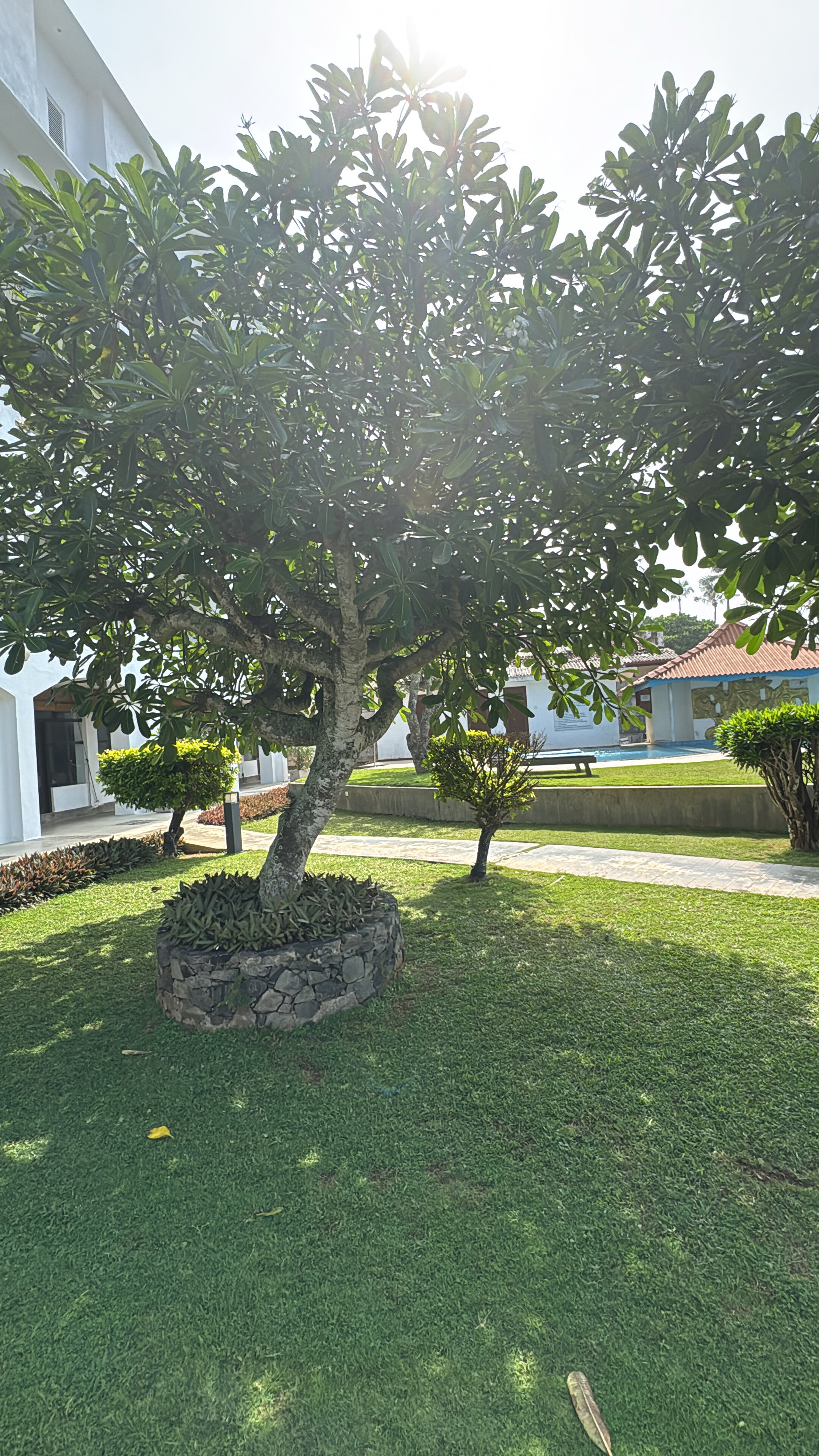 Фото Hotel Lanka Super Corals