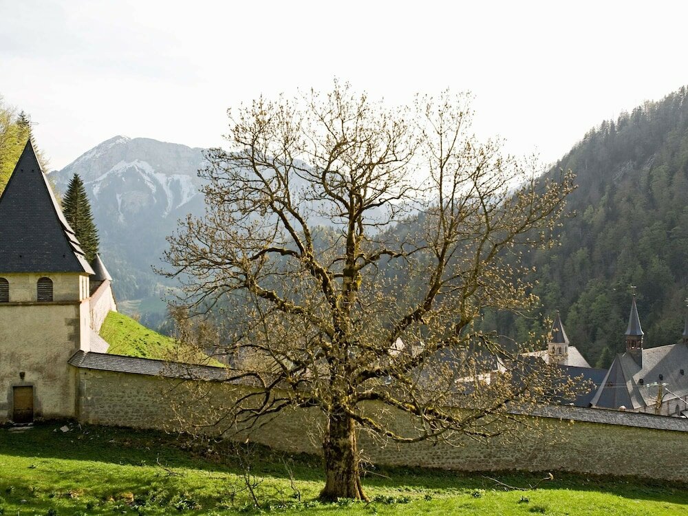 Фото 15338315024