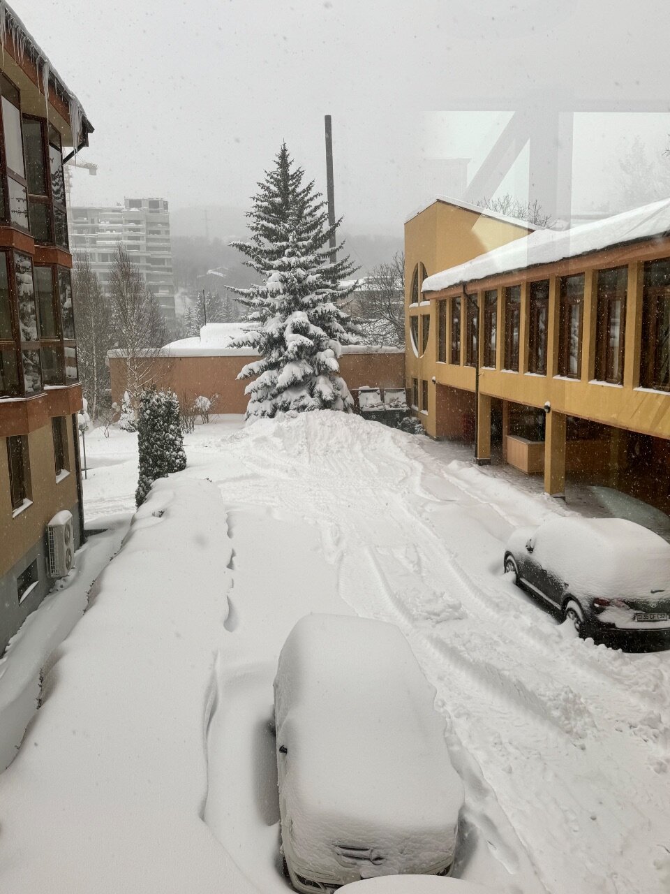 Фото Отель Россия