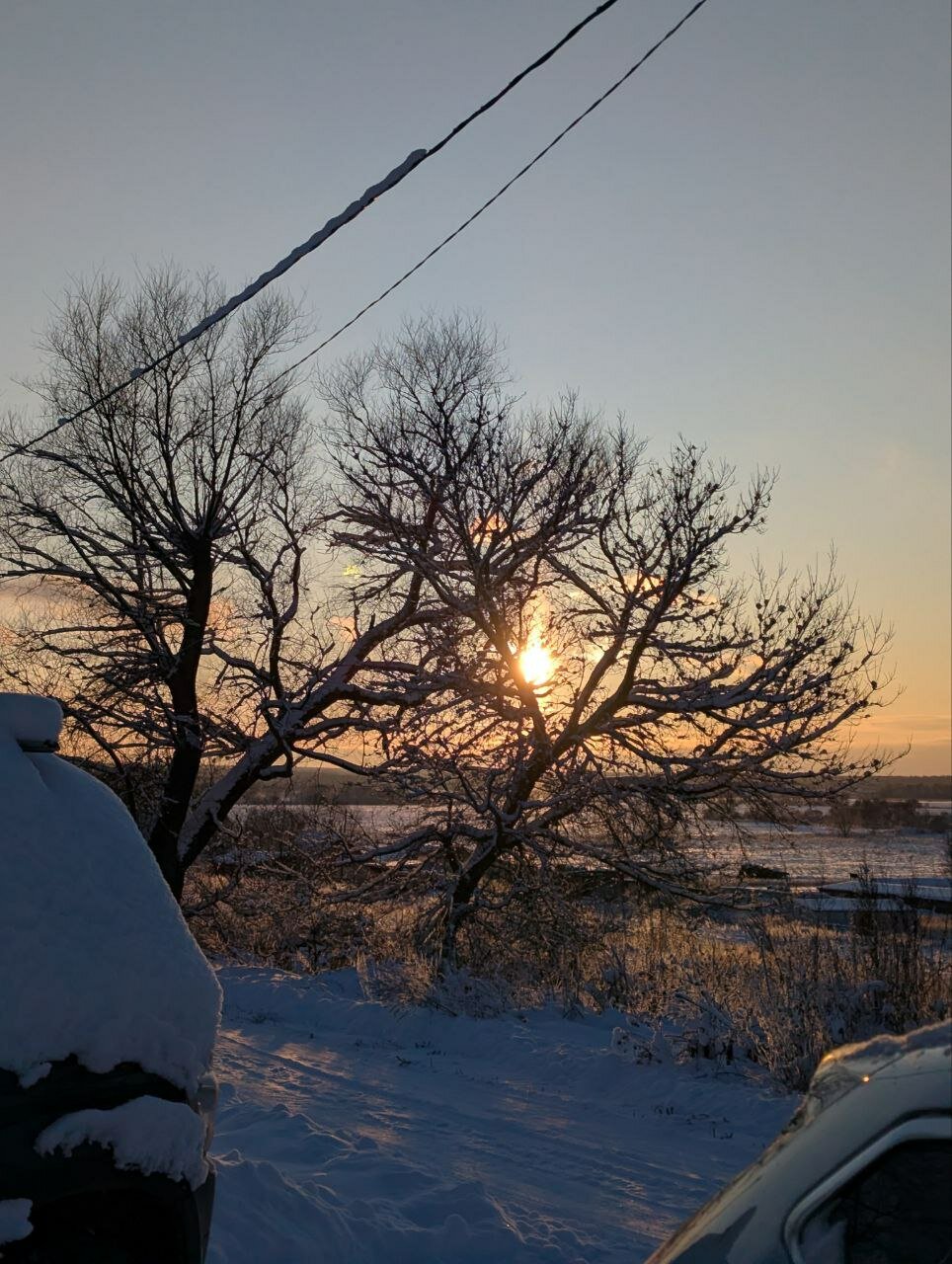 Фото Лисополоса