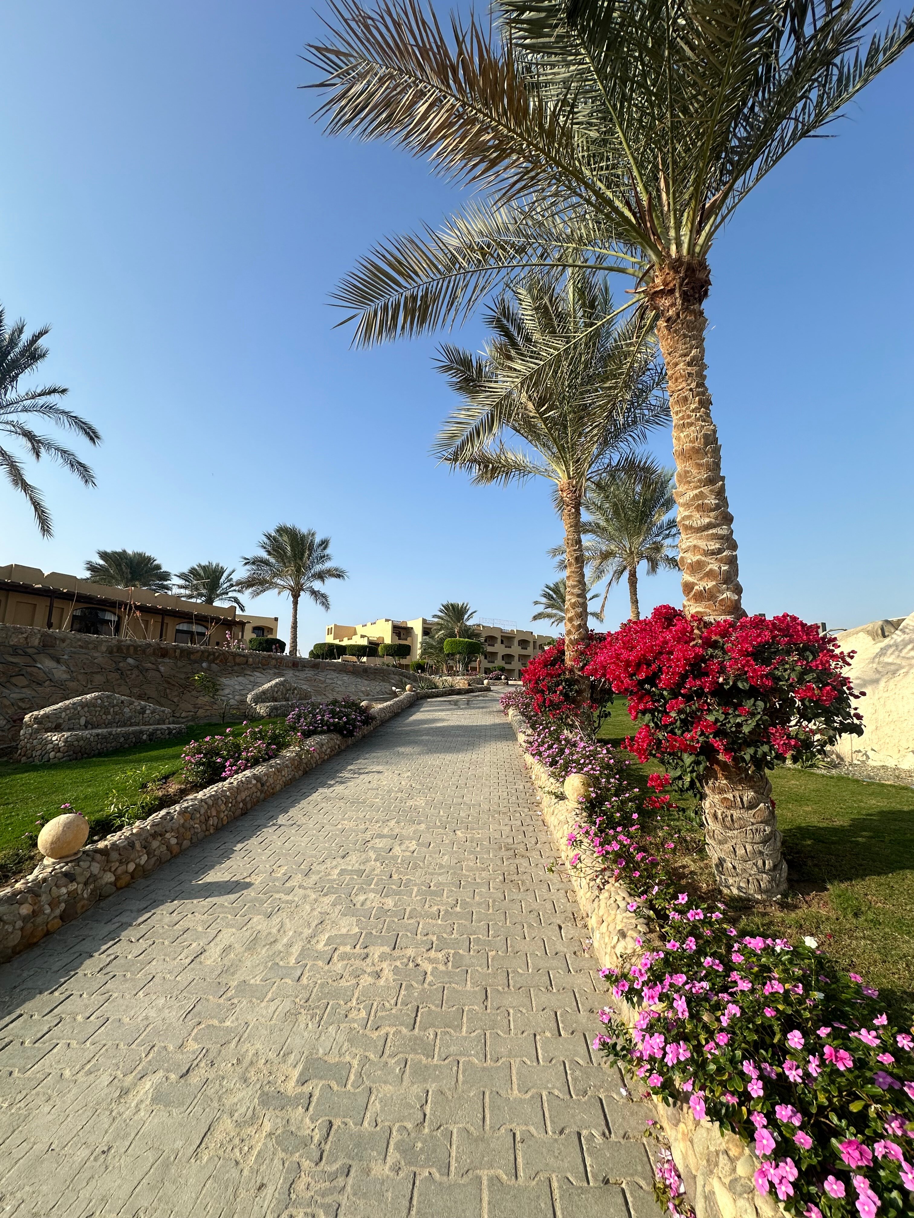 Фото Blend Elphistone Resort