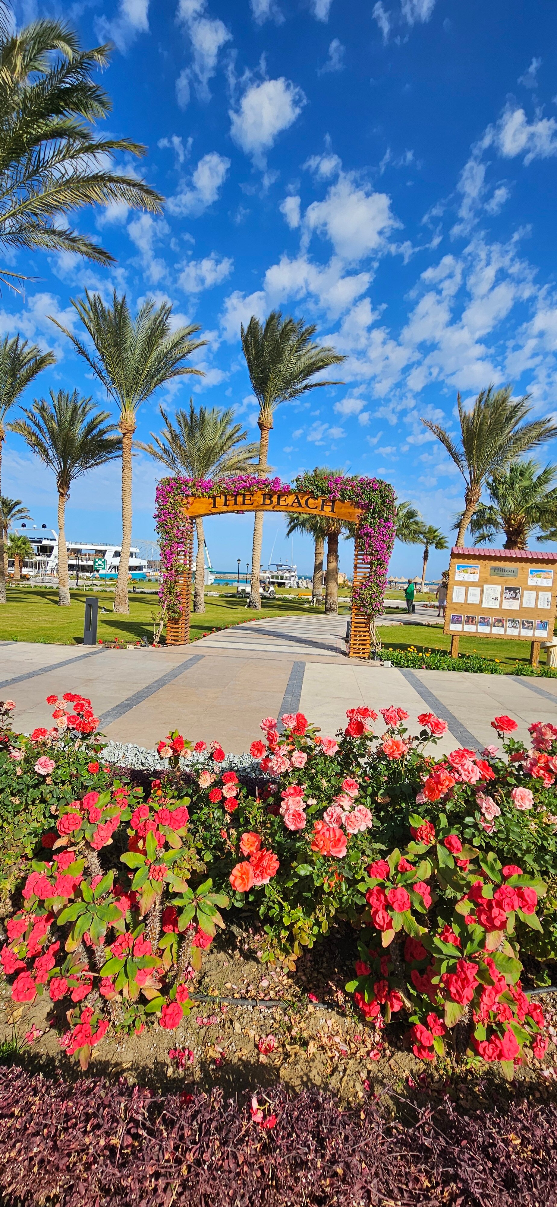 Фото Hilton Hurghada Plaza