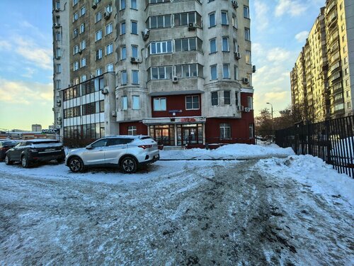 Сова — фото 3