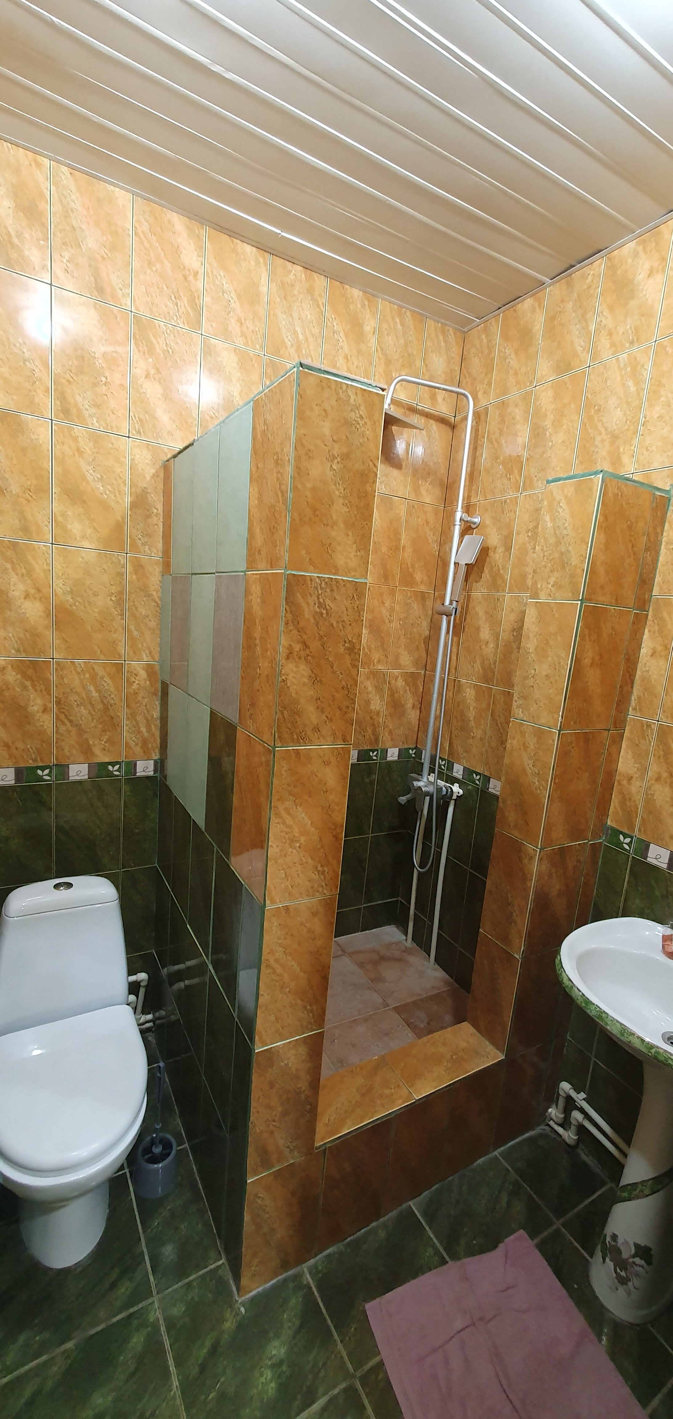 Фото Спутник