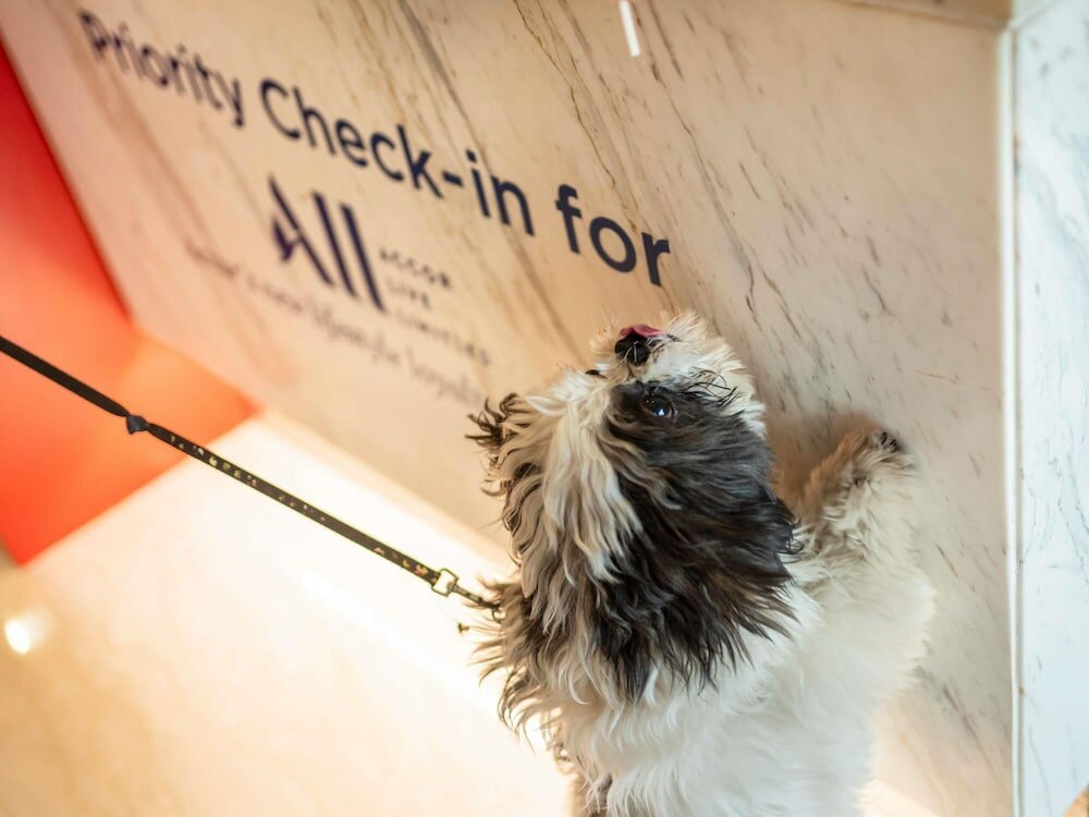 Фото Ibis Coimbra Centro