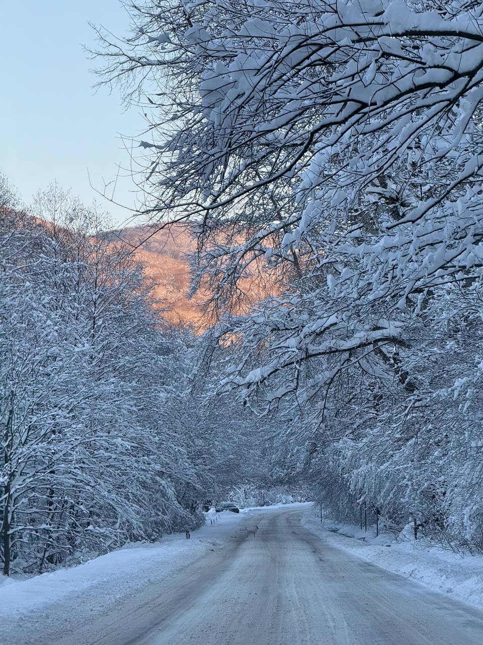 Фото Дом у реки