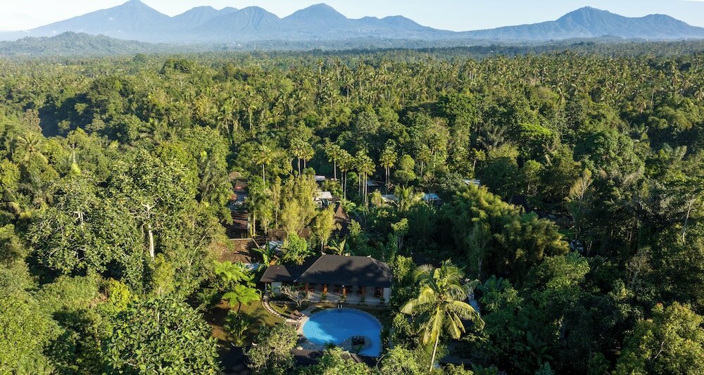 Фото 164162676469