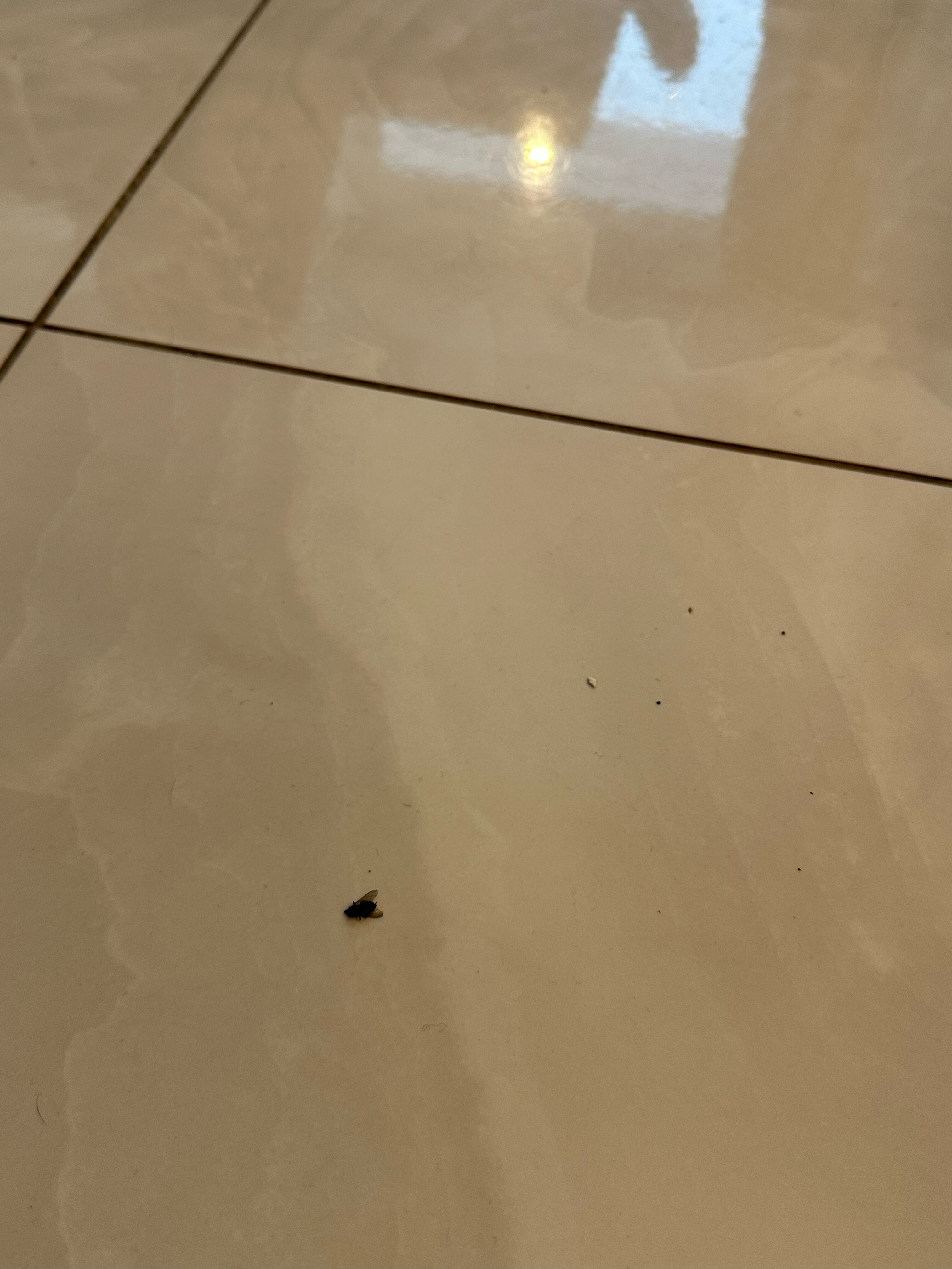 Фото Вилла МДГ