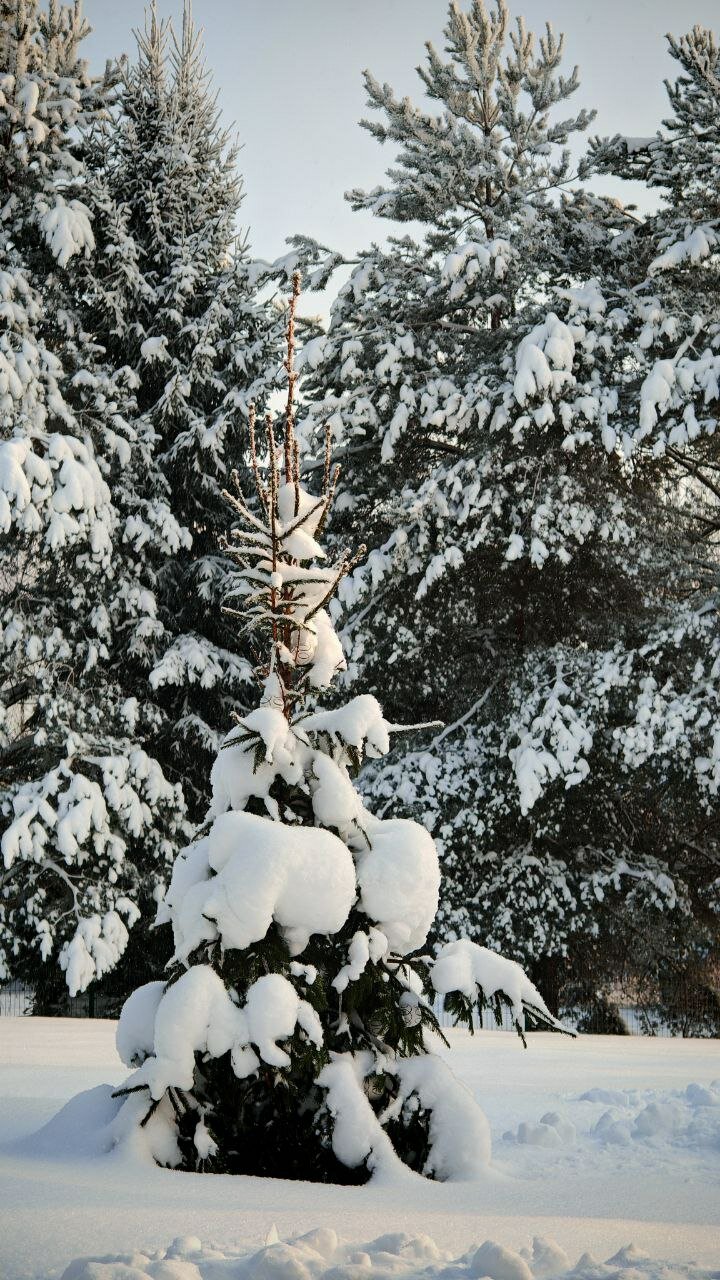 Фото Арт-усадьба Аршин