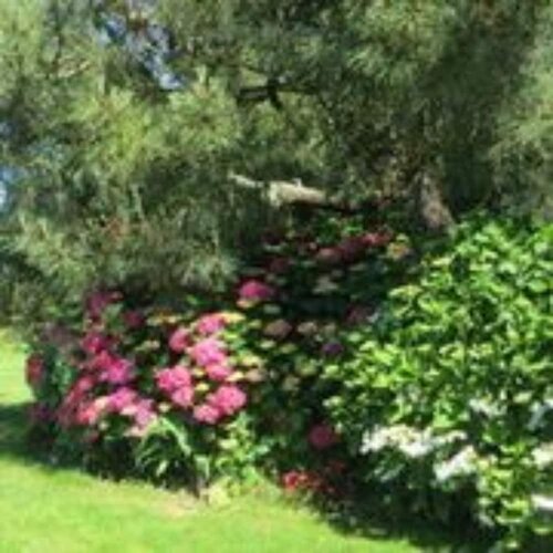 Гостиница Bienvenue aux Deux Caps в Шербур-Октевиле