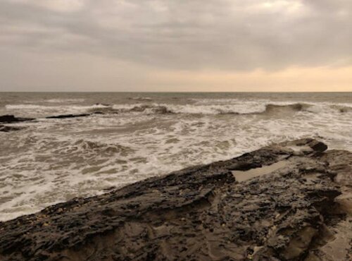 Гостиница Flamingo Beach Resort в Вагаторе