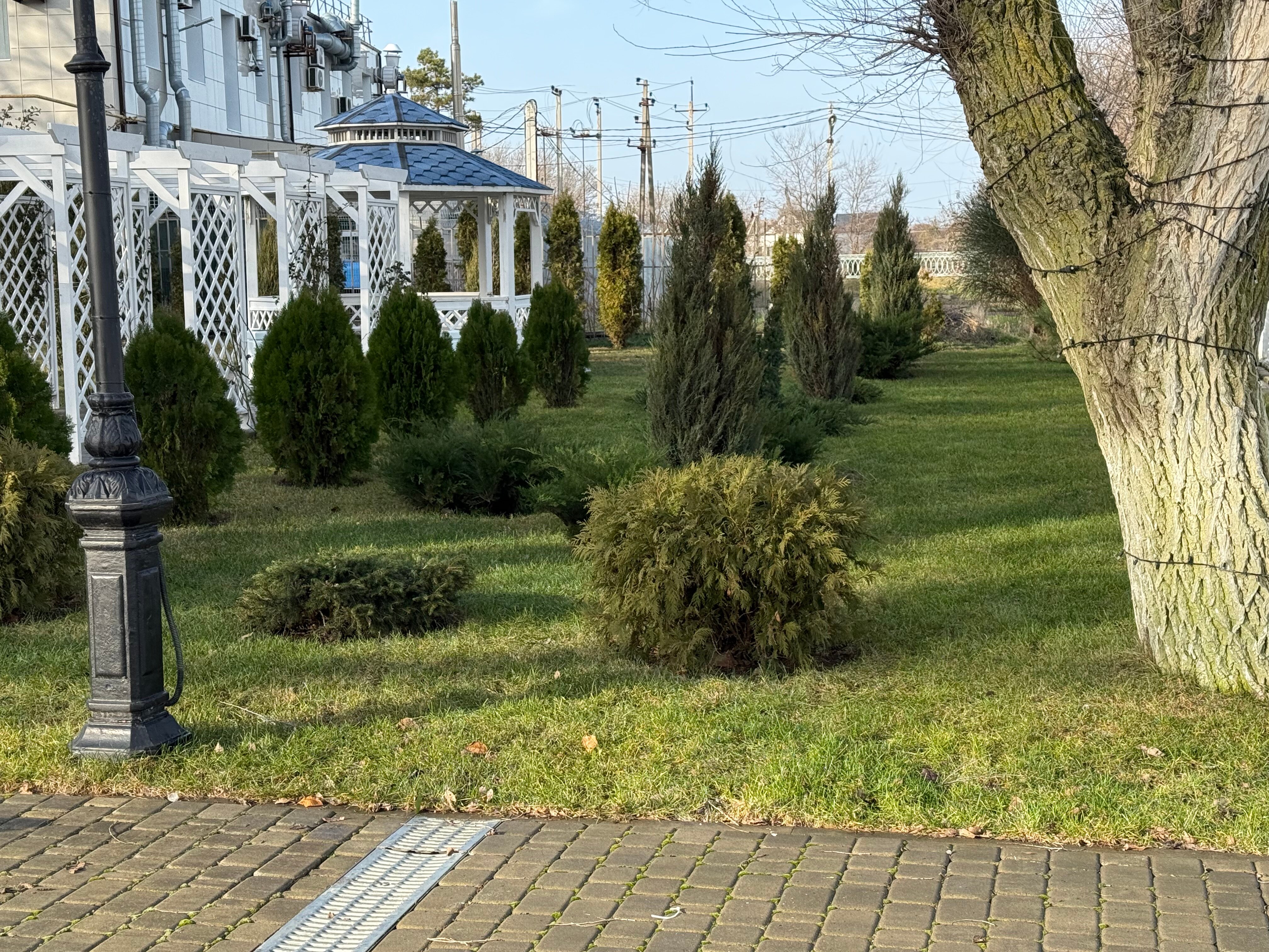 Фото Вилла Лаванда