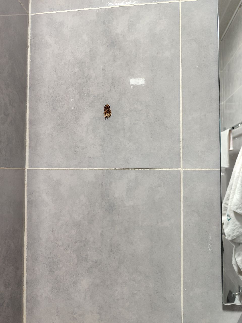 Фото Loft Hotel Tashkent