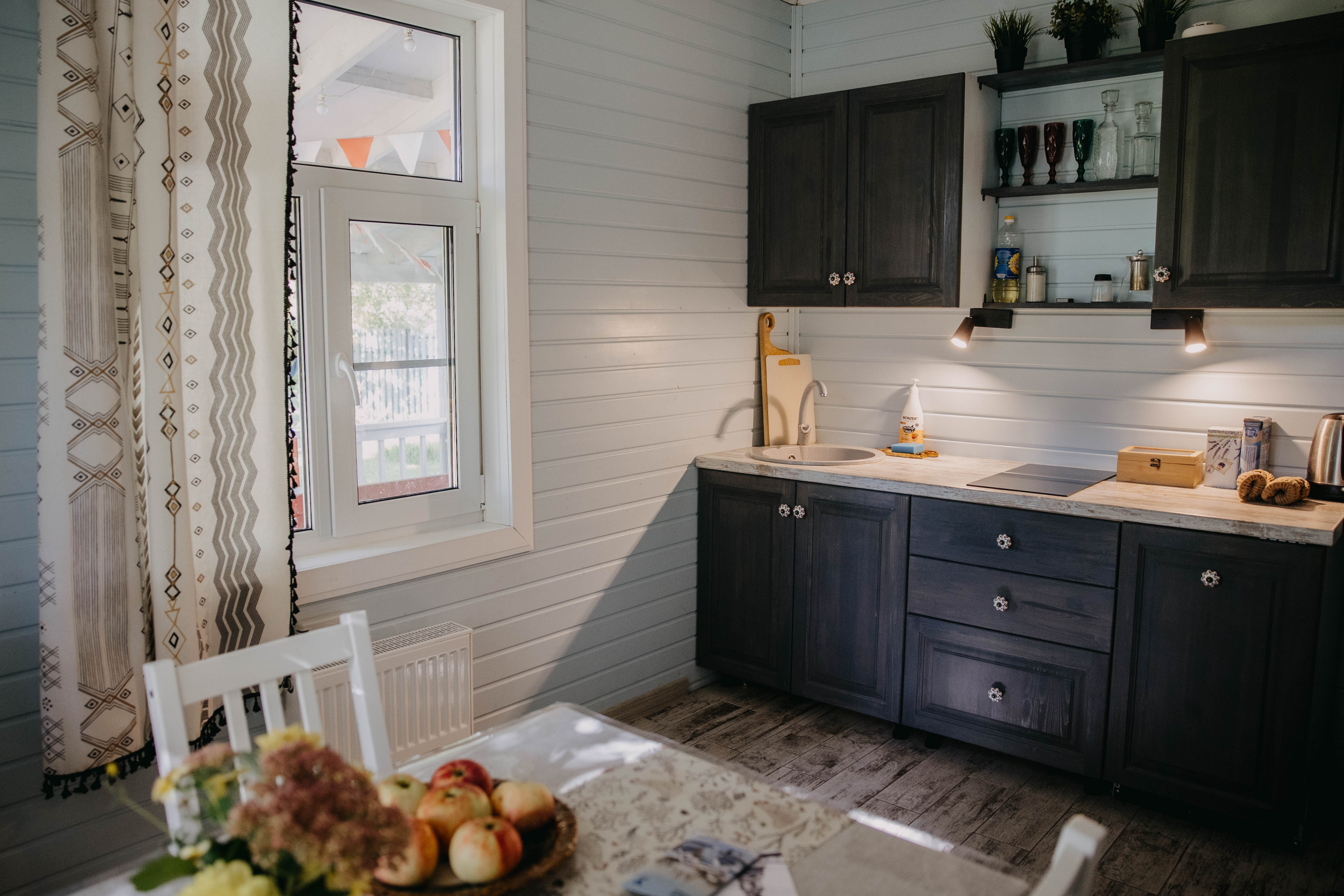 Фото Синяя синица