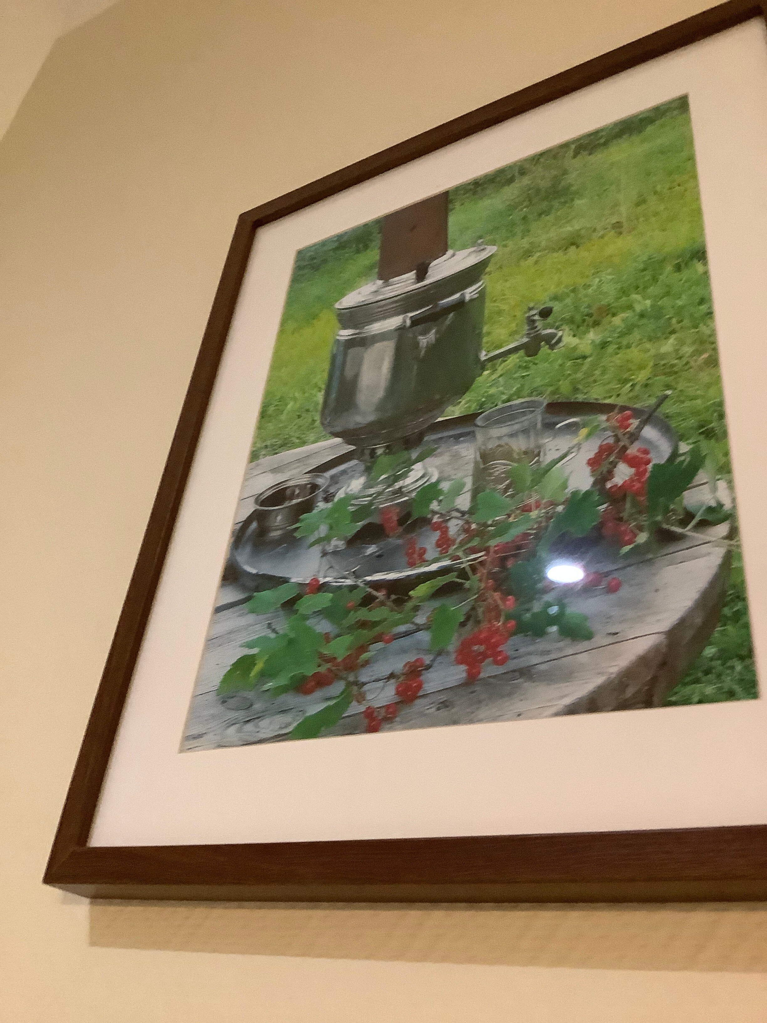 Фото Гледен