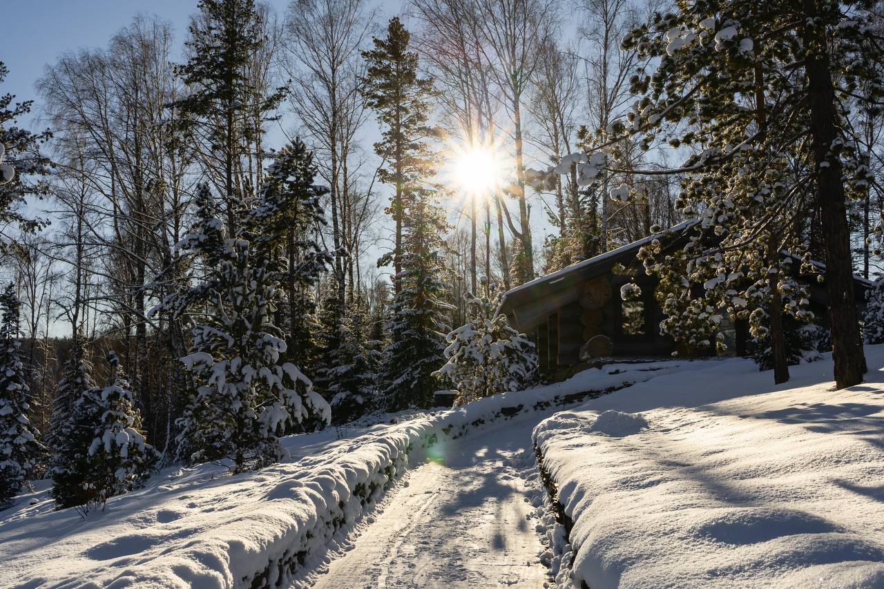 Фото Алтай Рестарт