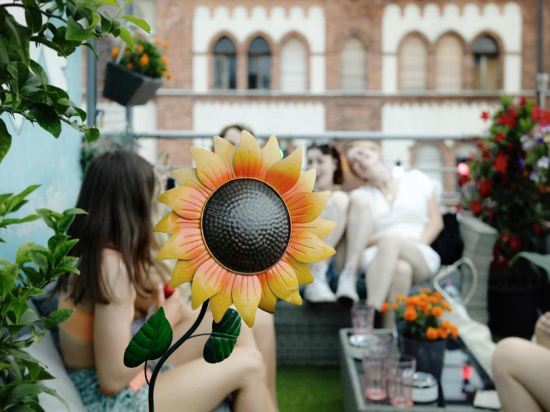 Фото Maverick Urban Lodge