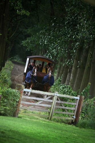 Гостиница 15 Inn в Провинции Антверпен