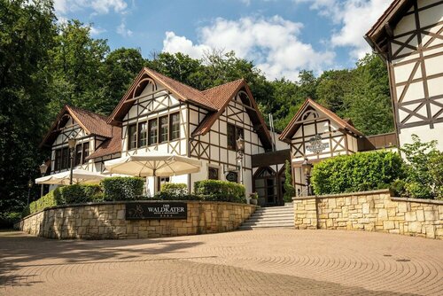 Гостиница Ringhotel Der Waldkater в Ринтельне