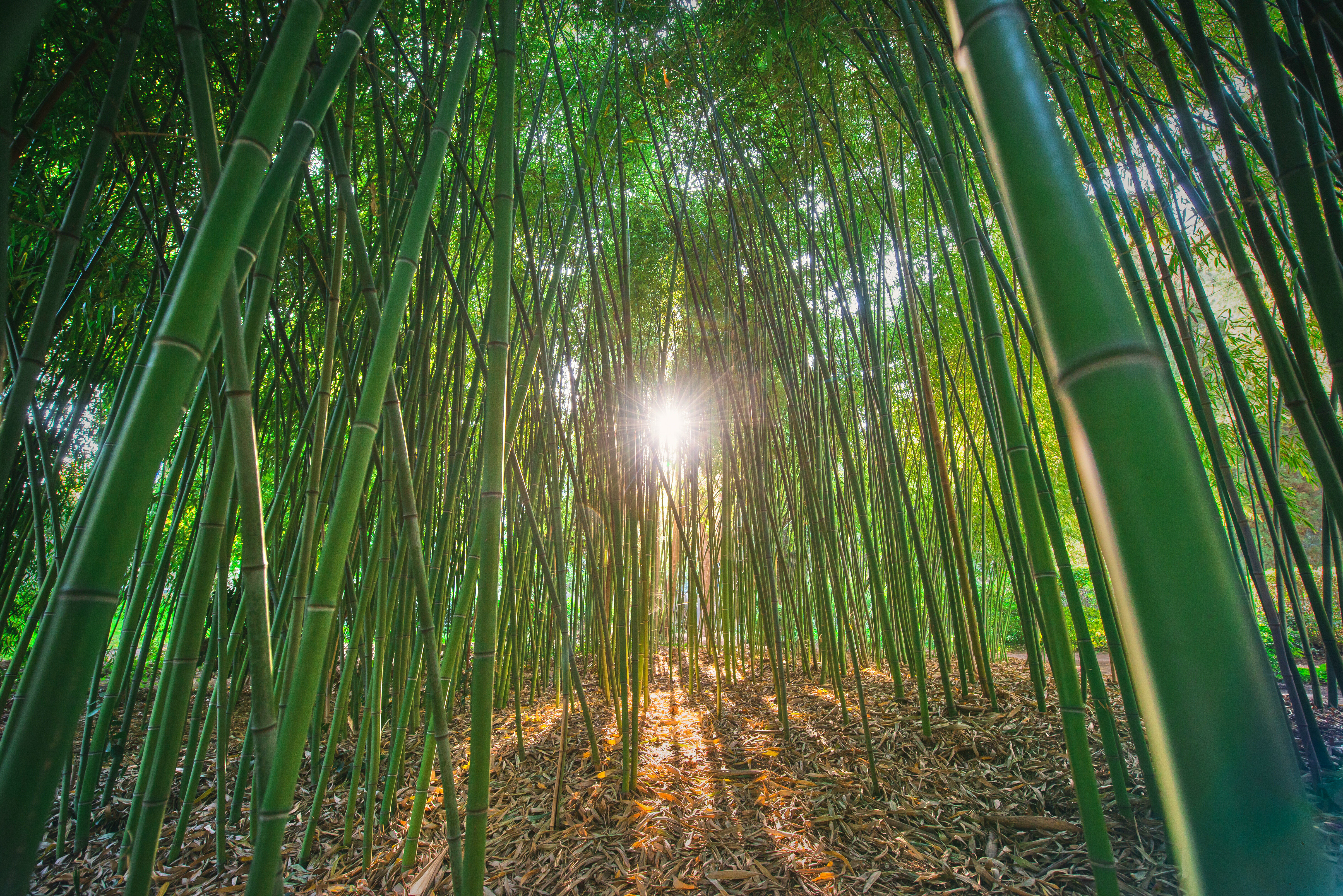 Фото More Spa & Resort