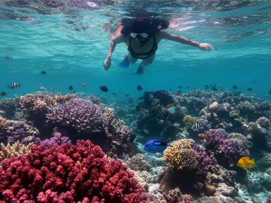 Фото Samabe Bali Suites & Villas