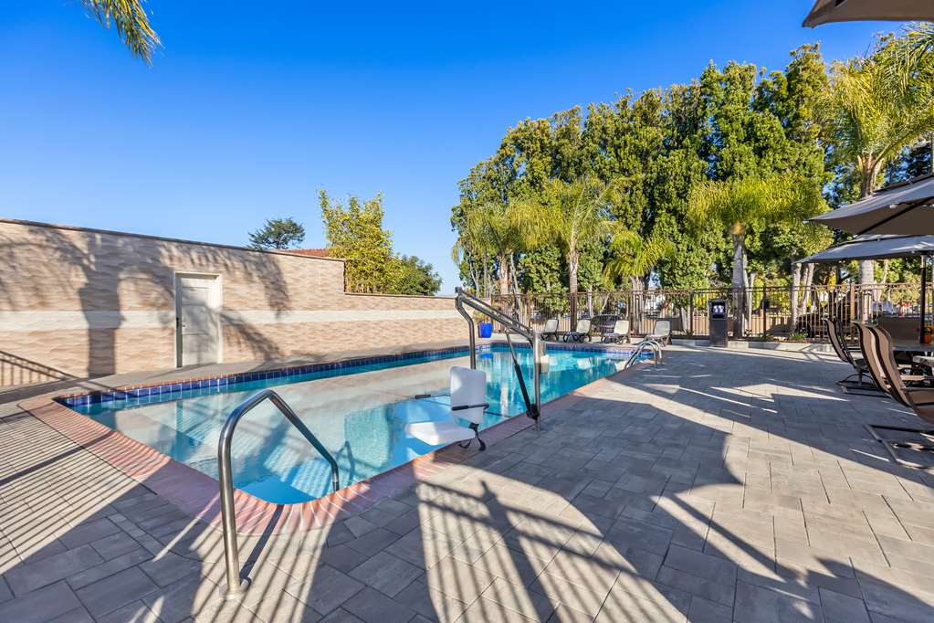 Фото Best Western University Inn Santa Clara