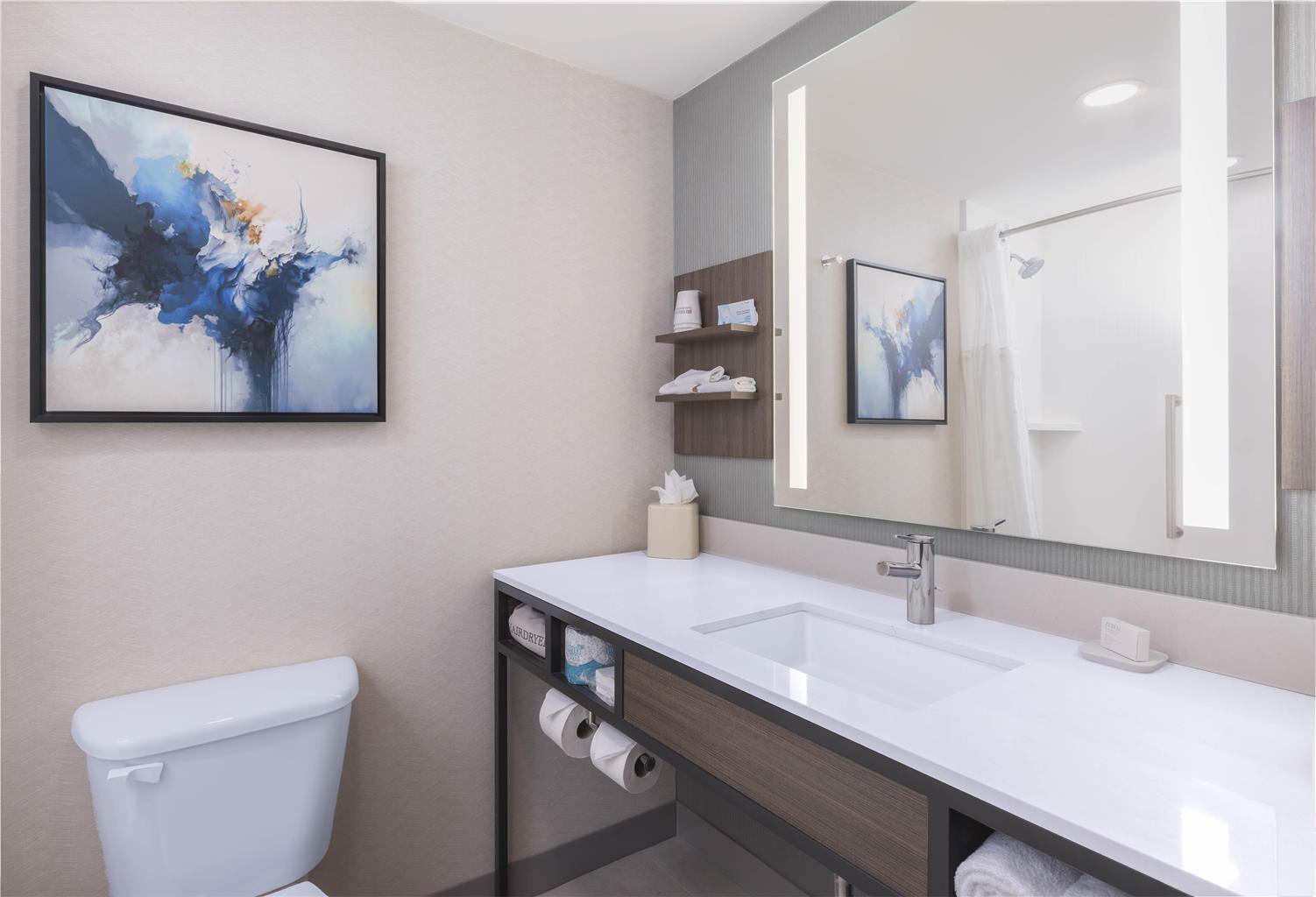 Фото Hilton Garden Inn Des Moines/Urbandale
