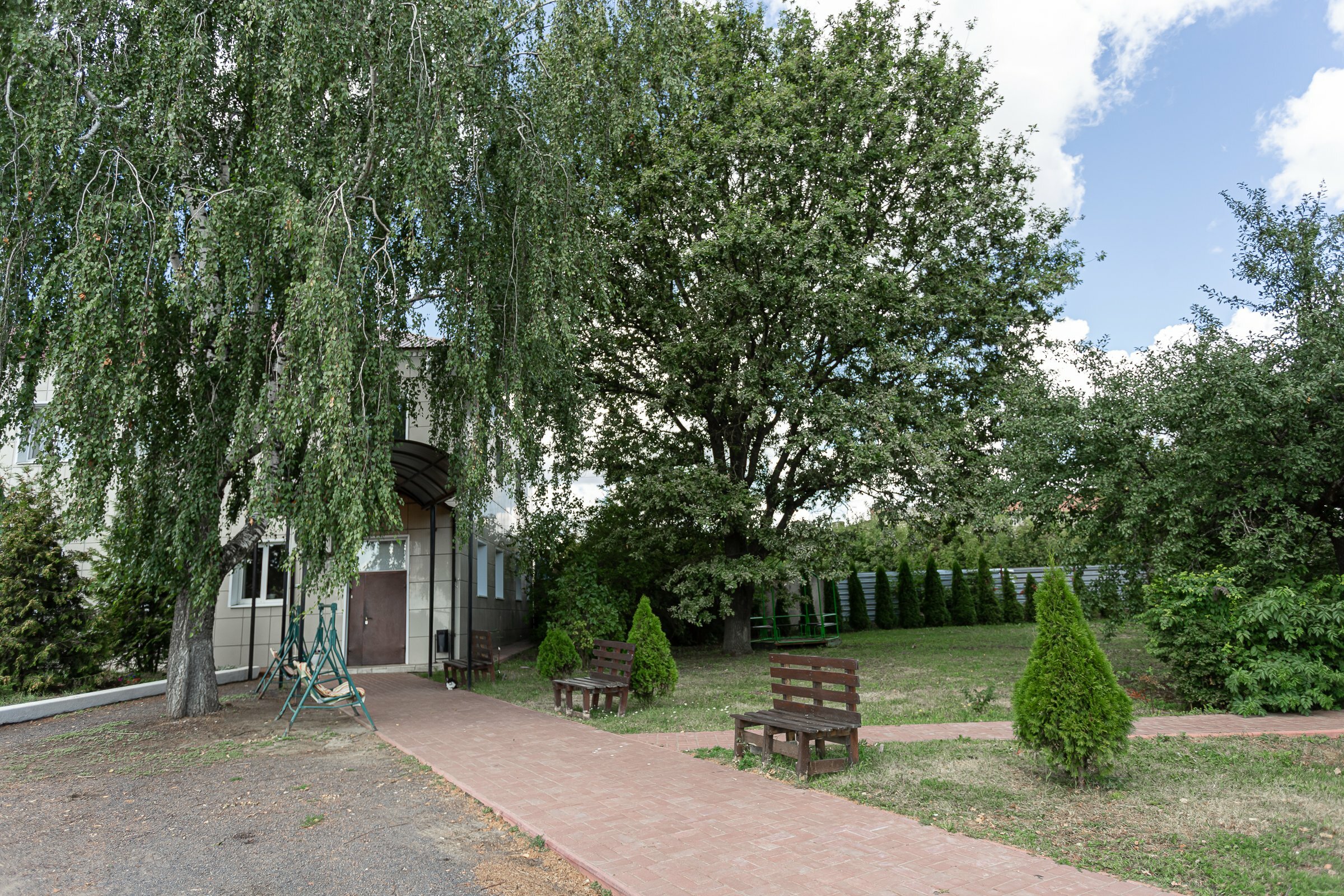 Фото Кузнечик
