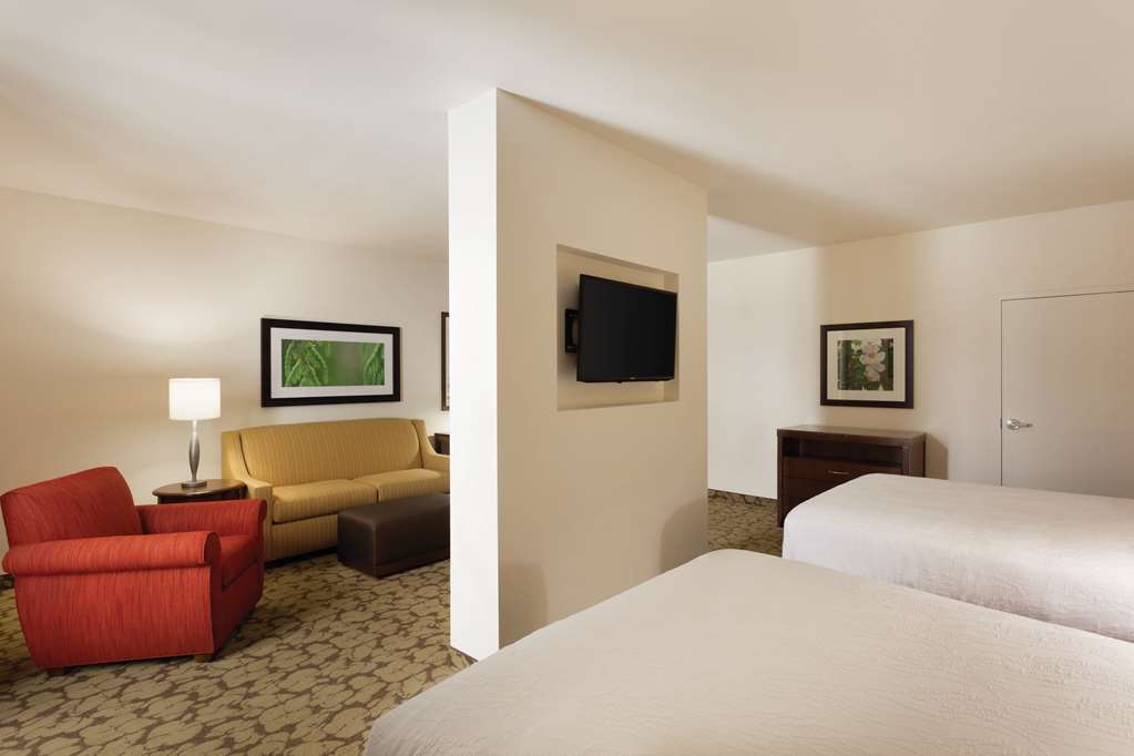 Фото Hilton Garden Inn Rochester Downtown
