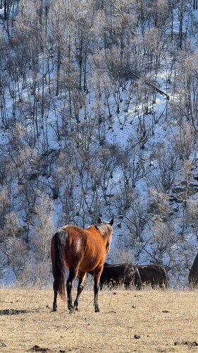 Гостиница Эльбрус Плаза в Кабардино-Балкарской Республике