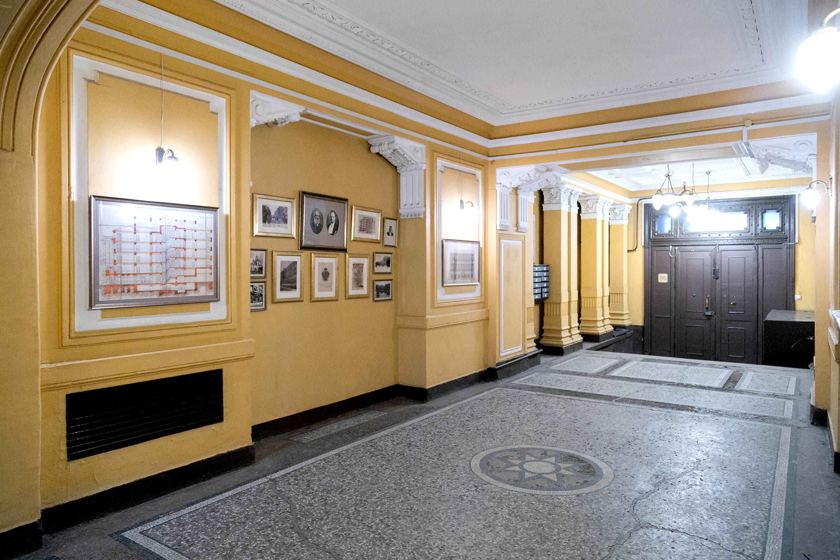 Фото Ромашка