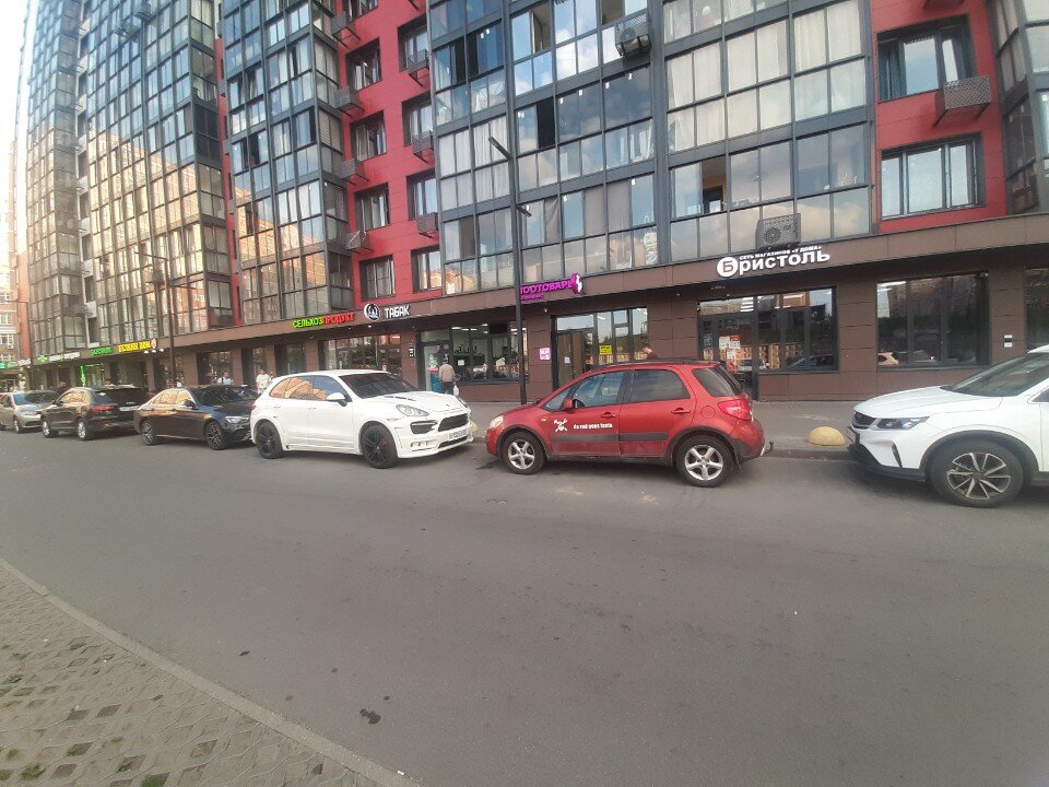 Мокрый нос - фото 14