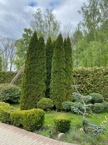 Гостиница Усадьба Татьяна в Руденском сельсовете
